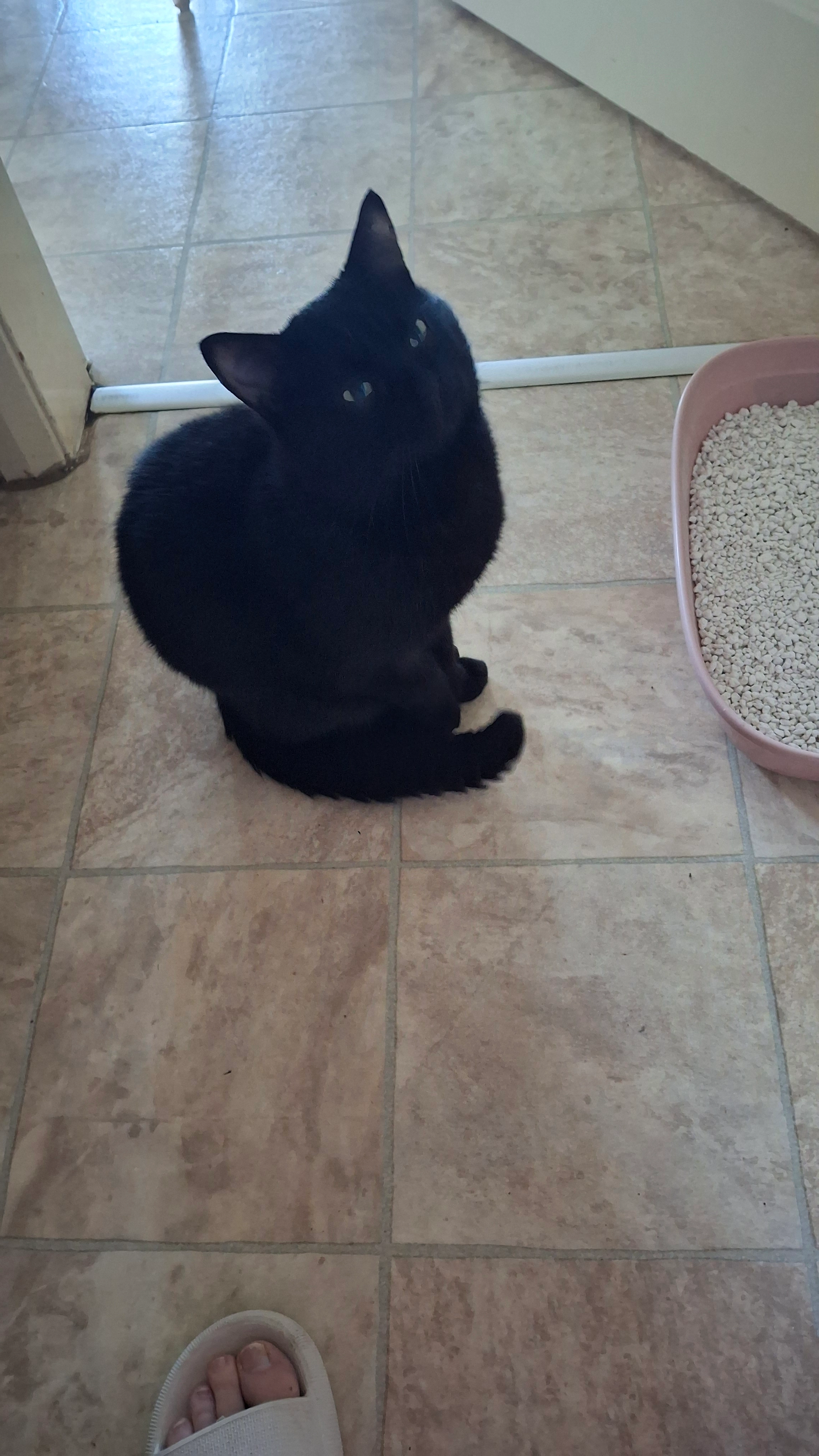 Batman - Hudson Way, Grantham