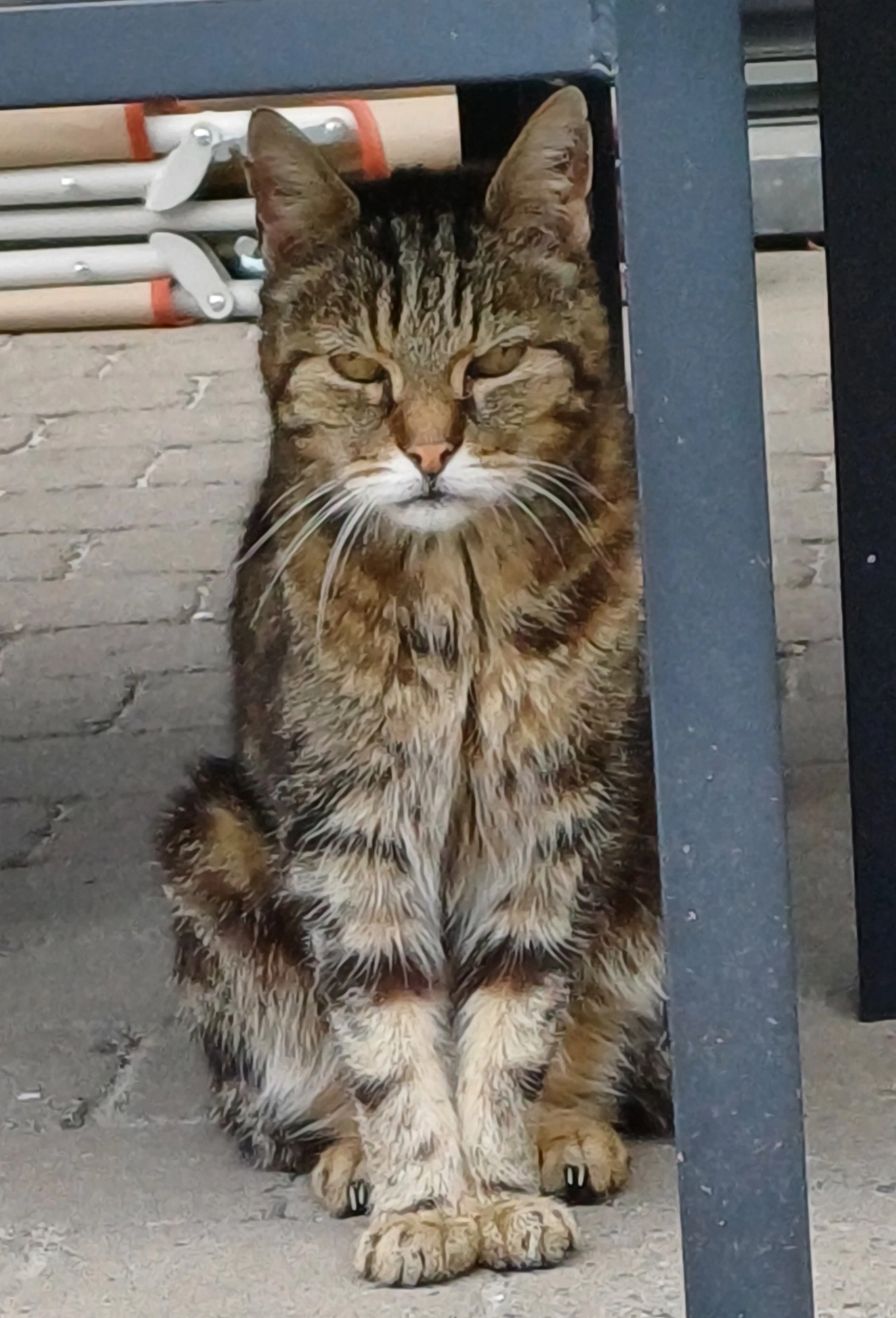 Baloe - Kalfortdorp, Puurs-Sint-Amands