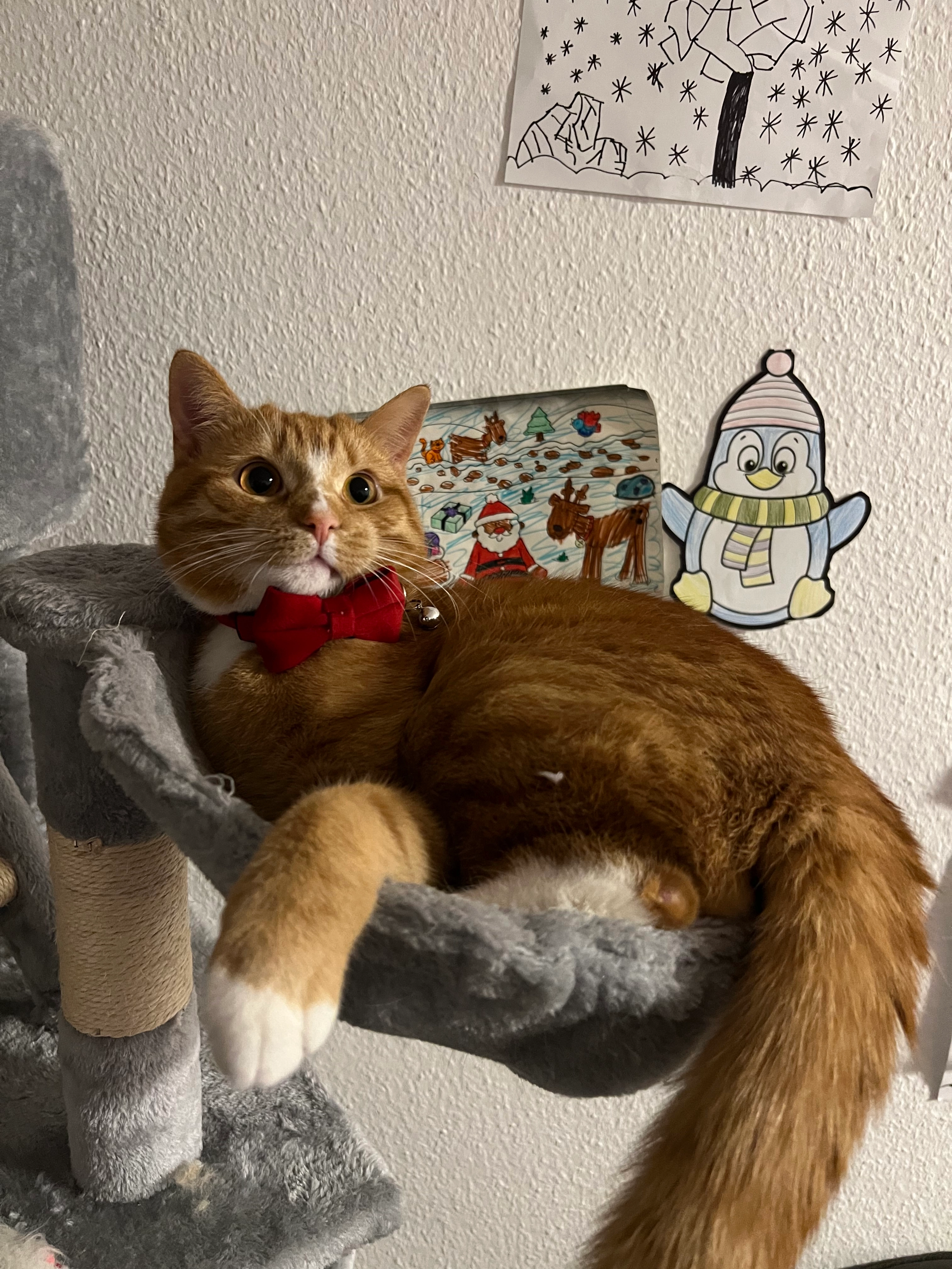 Marcel - Arthur-Strobel-Straße, Chemnitz