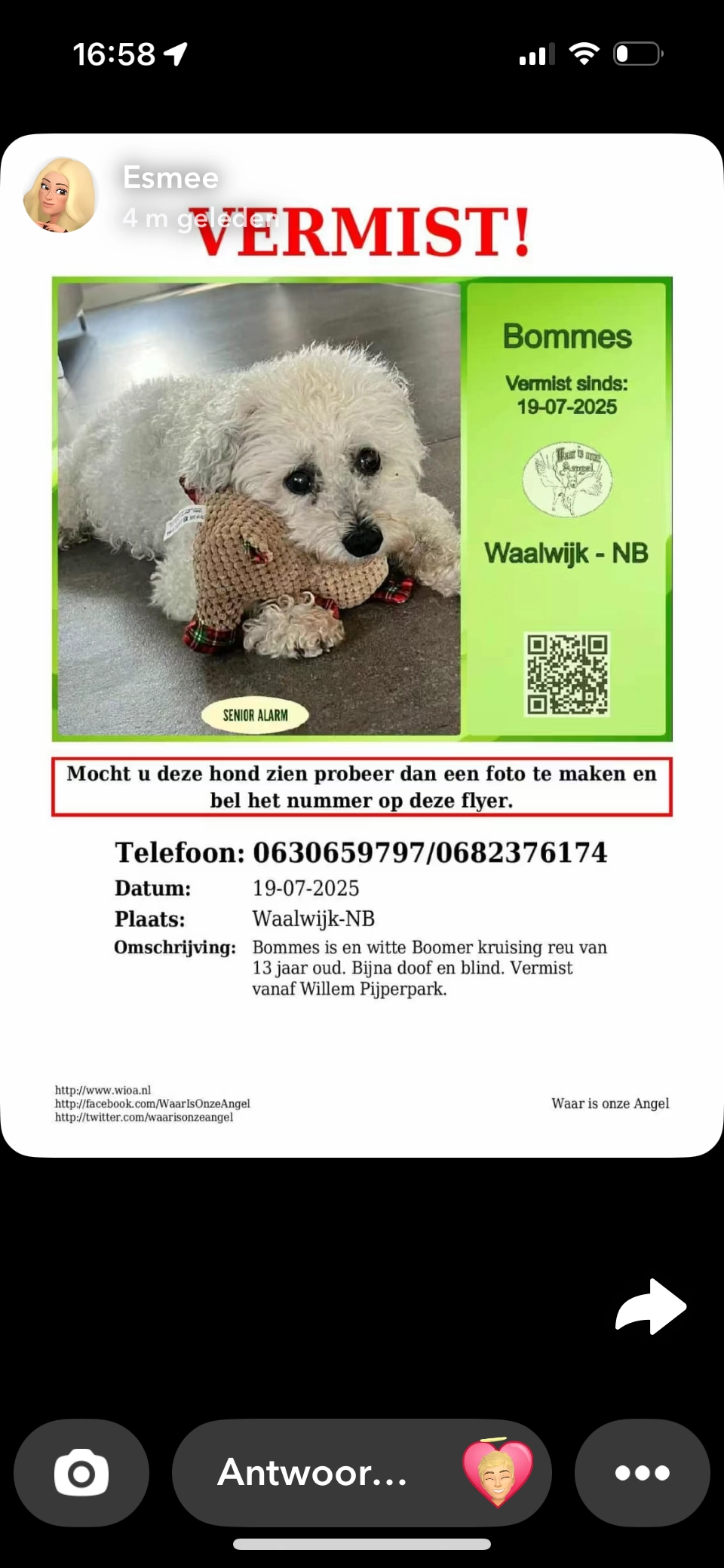 Bommes - Willem Pijperpark, Waalwijk