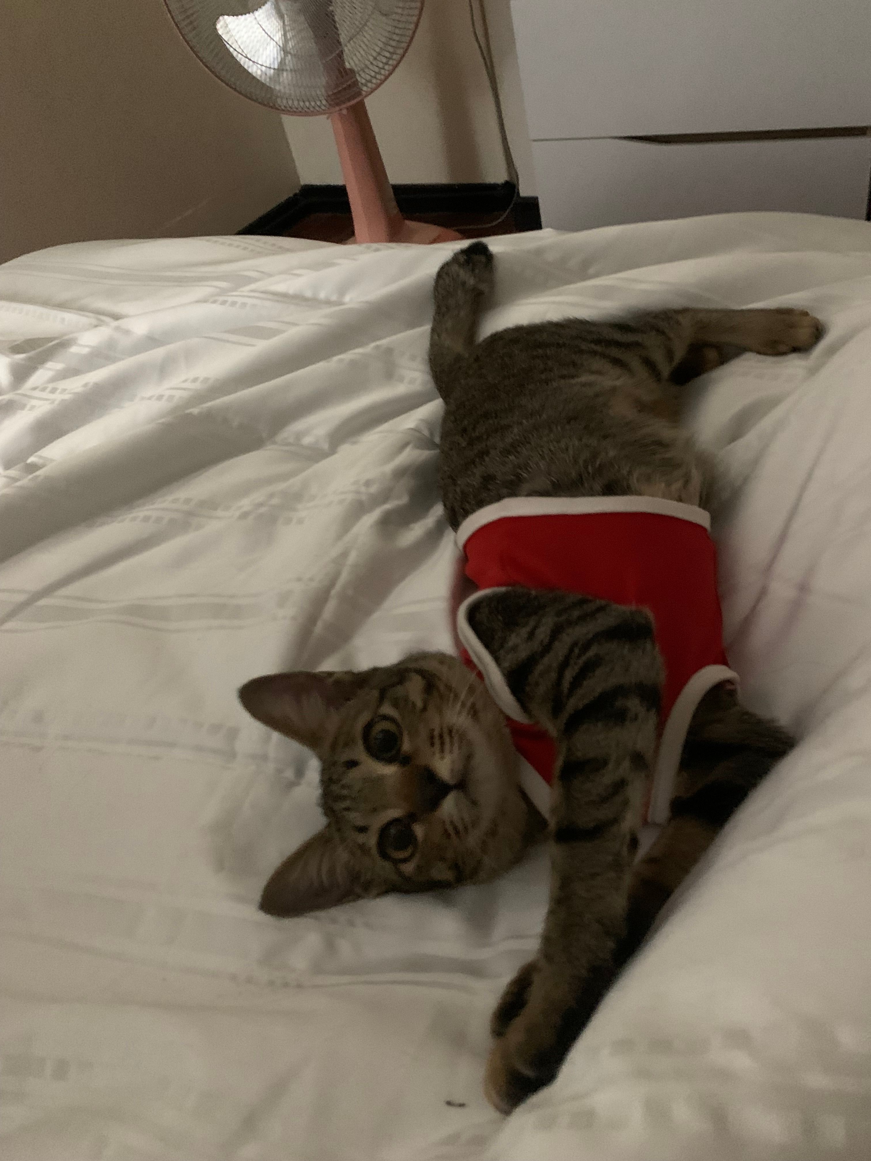 Rainy  - ซอยนครระยอง 27, Mueang Rayong