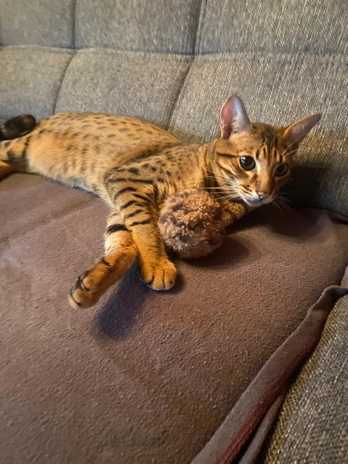 Lu - Karlstraße, Karlsruhe