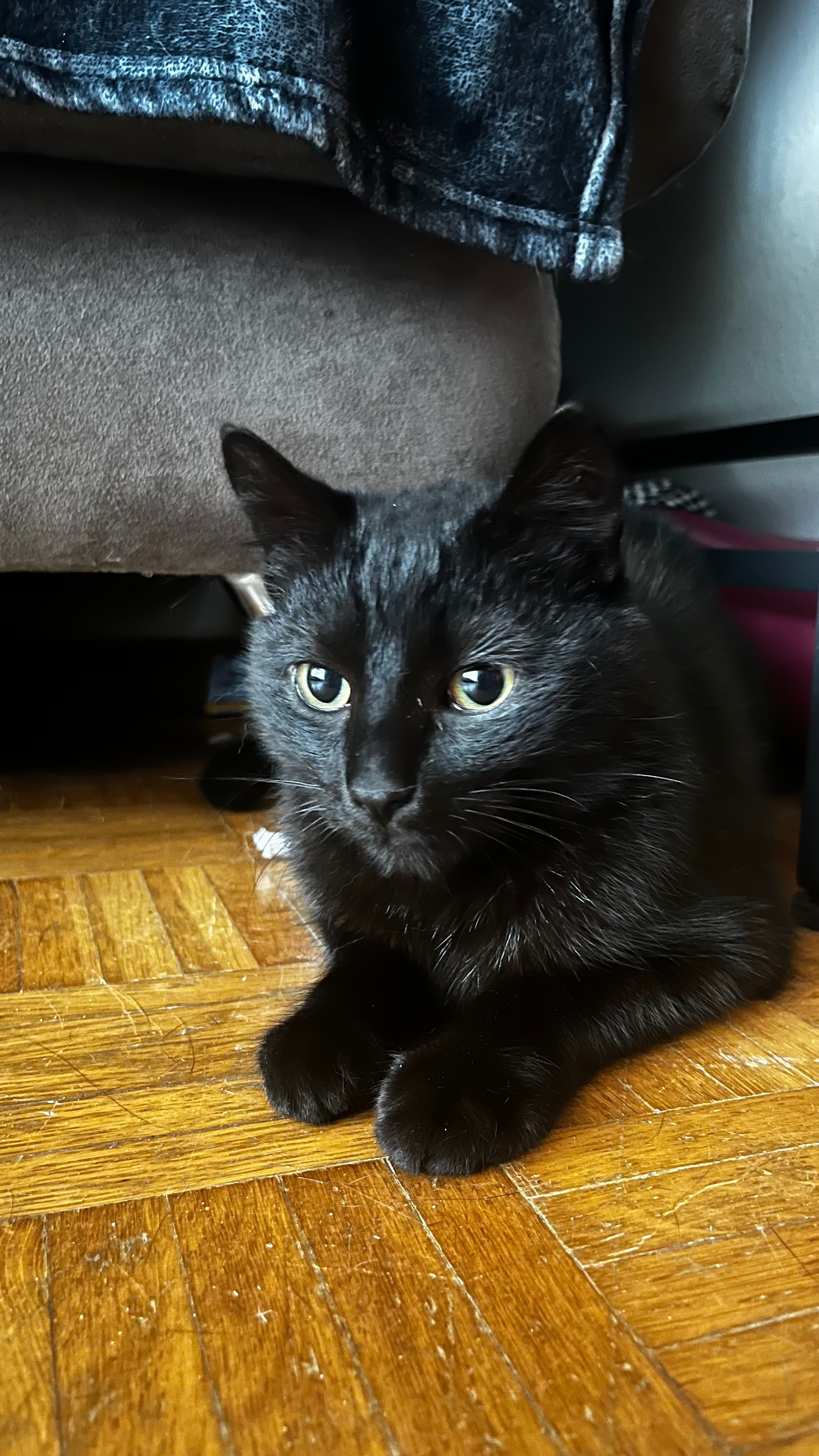 Nacho - Sartoriusstraße, Würzburg