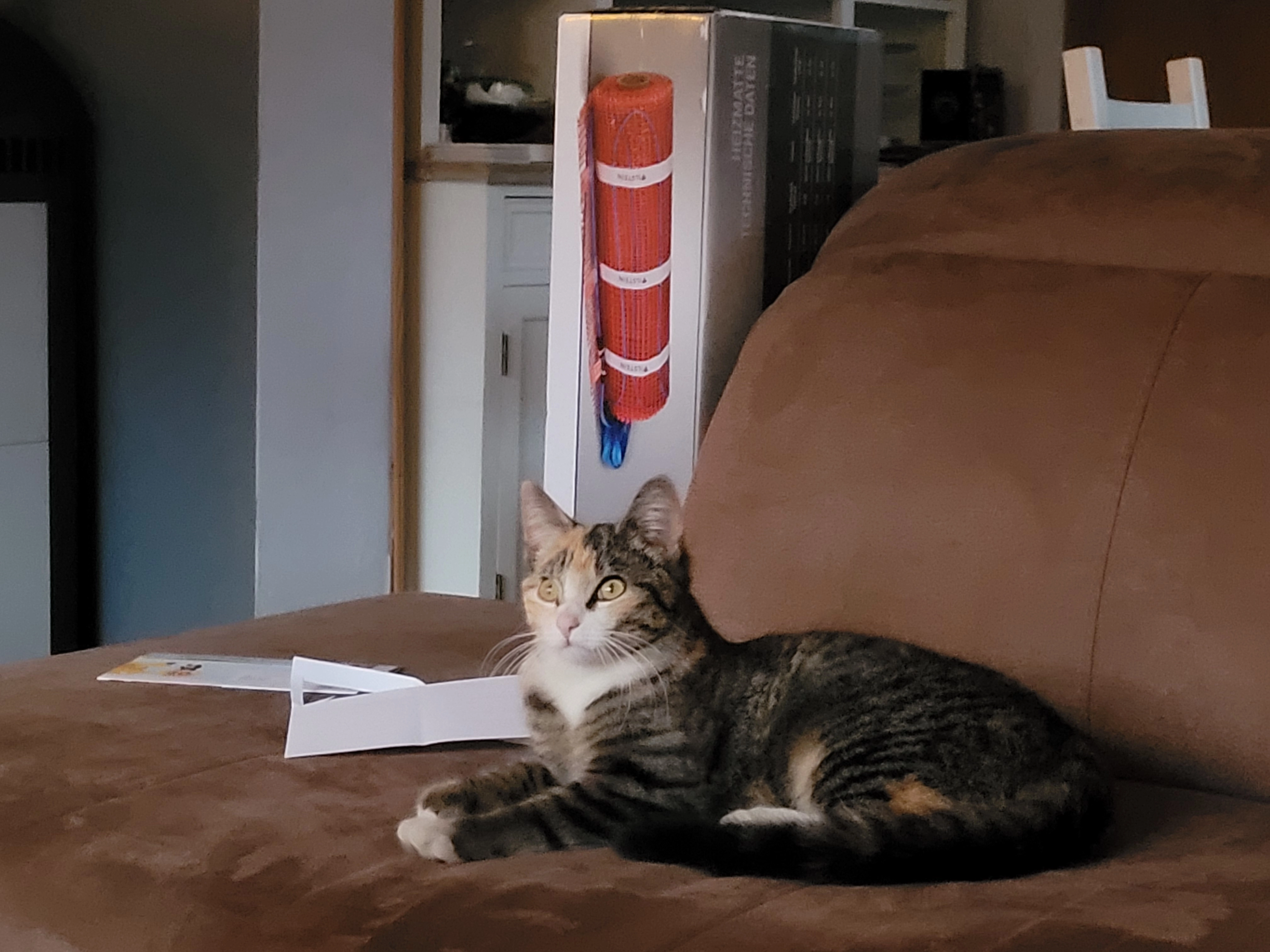 Heks - Estruper Weg 9, Großsolt