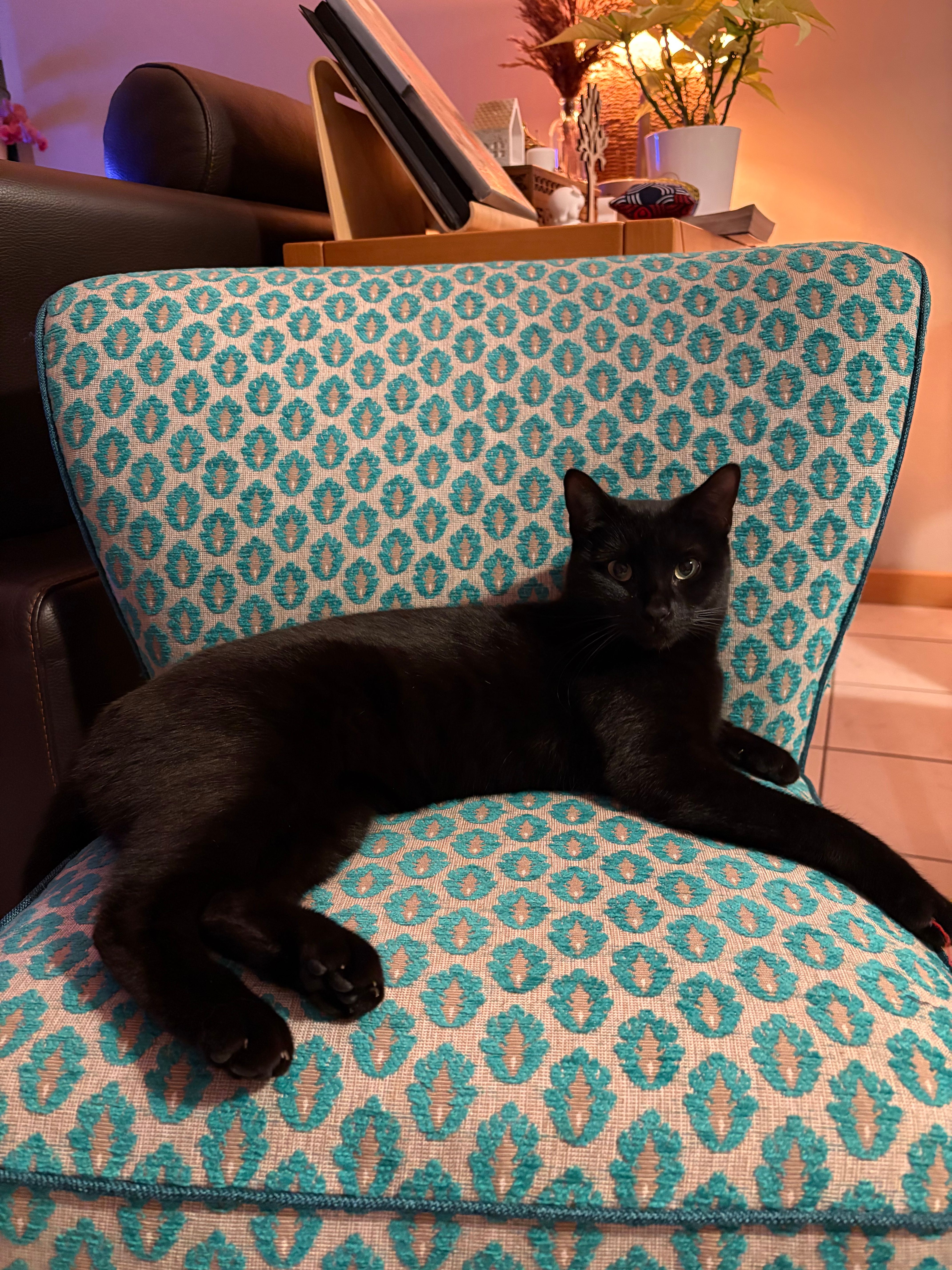 Una - 21 Rue du Hirschberg, Thal-Marmoutier