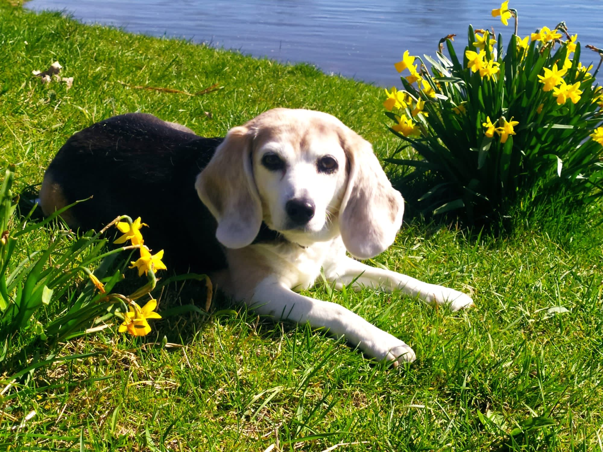 Lotty - Glehner Weg, Düsseldorf
