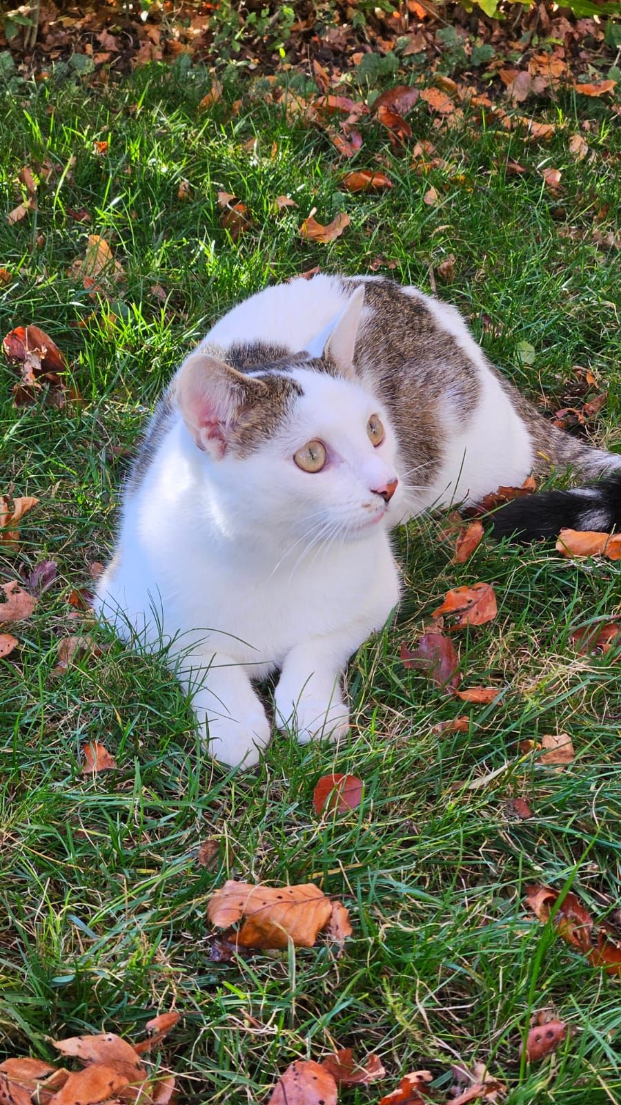Lou - Hinter der Schule, Stetten am kalten Markt