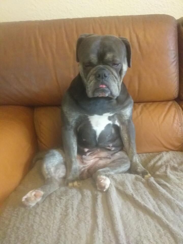 Kimi - Impasse des Rosiers, Aix-en-Provence