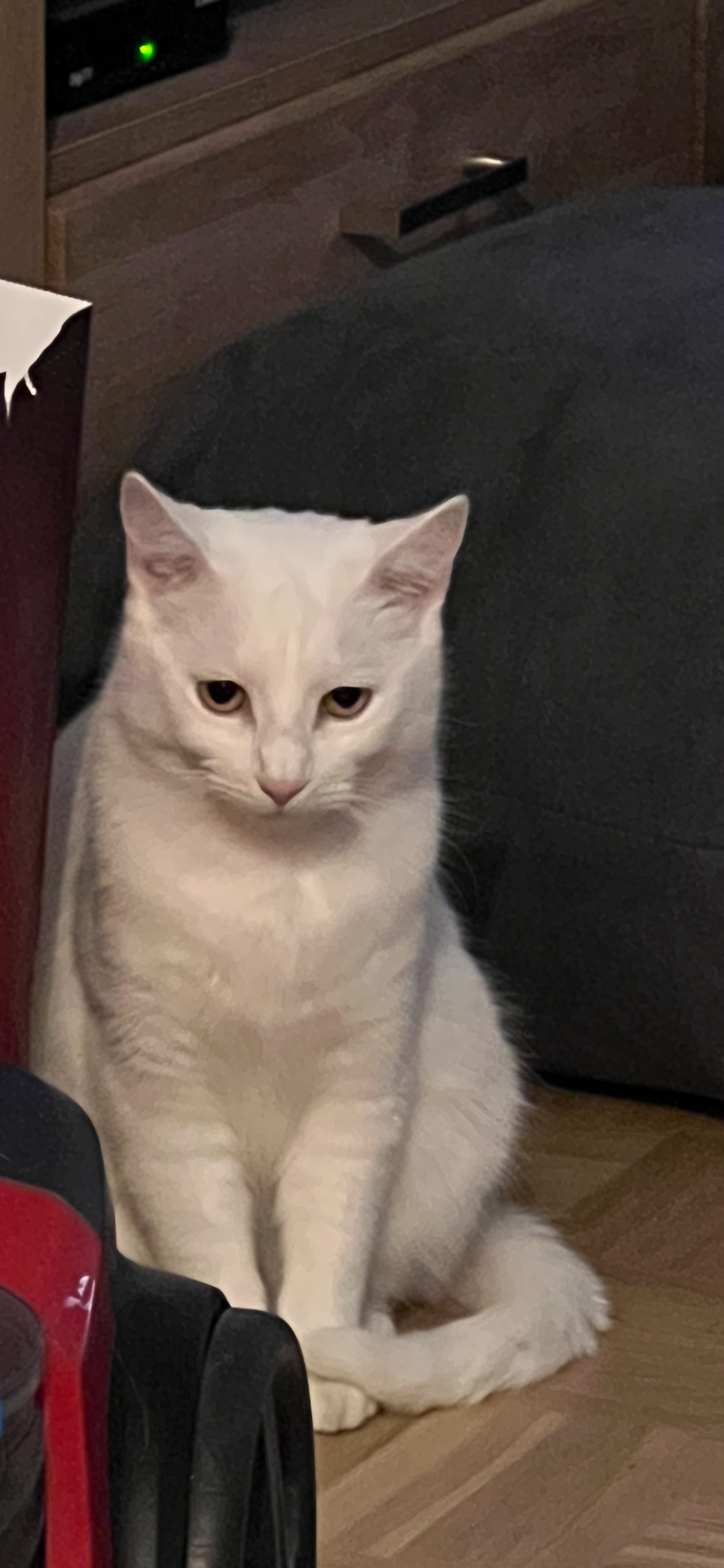 Citrom  - Freiestrasse, Grenchen