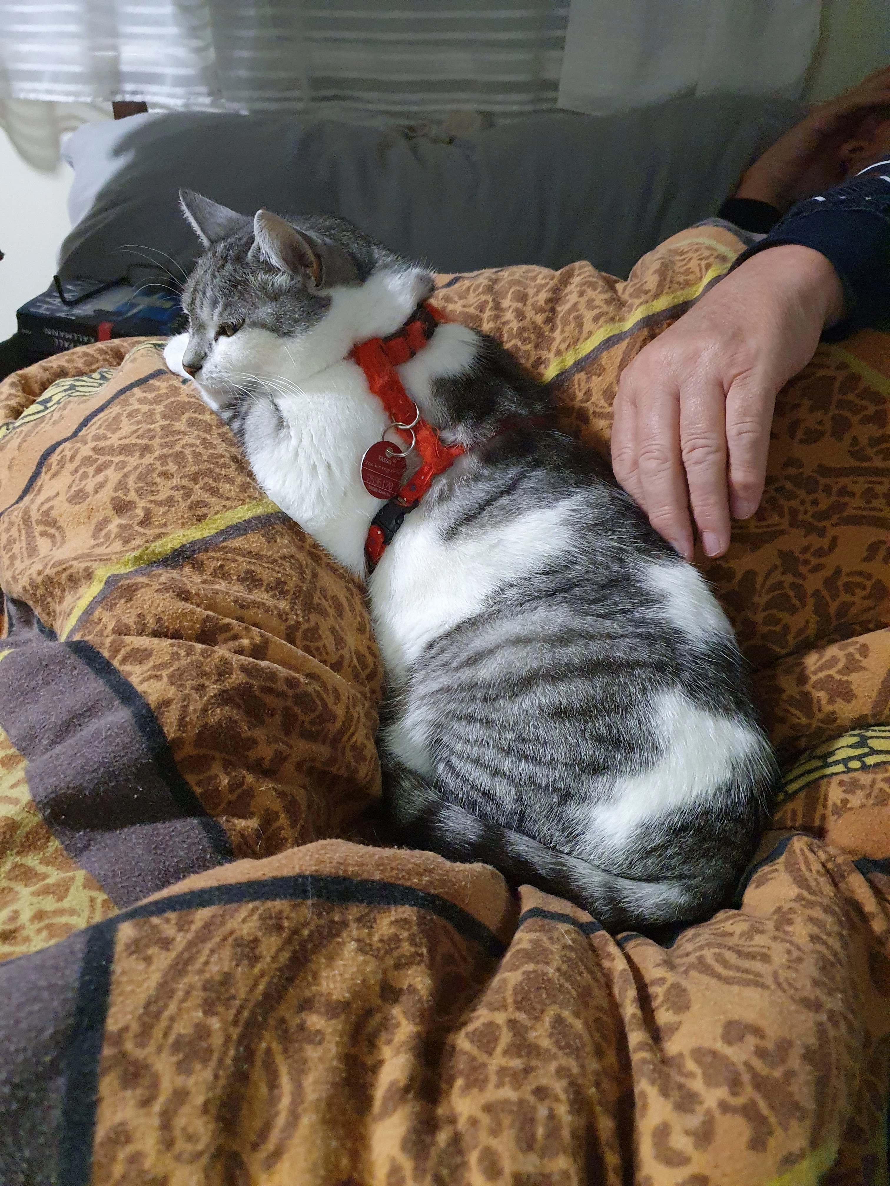 Silverstar  - Schleusenweg, Limburg an der Lahn