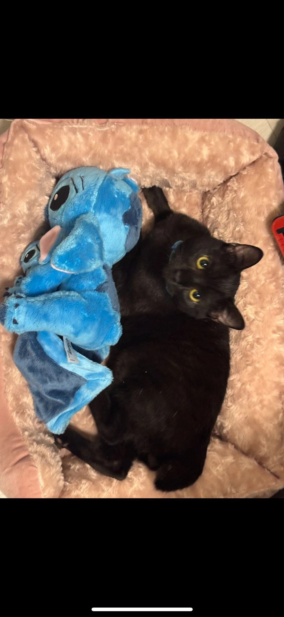 Gece - In Der Faitsch, Cochem