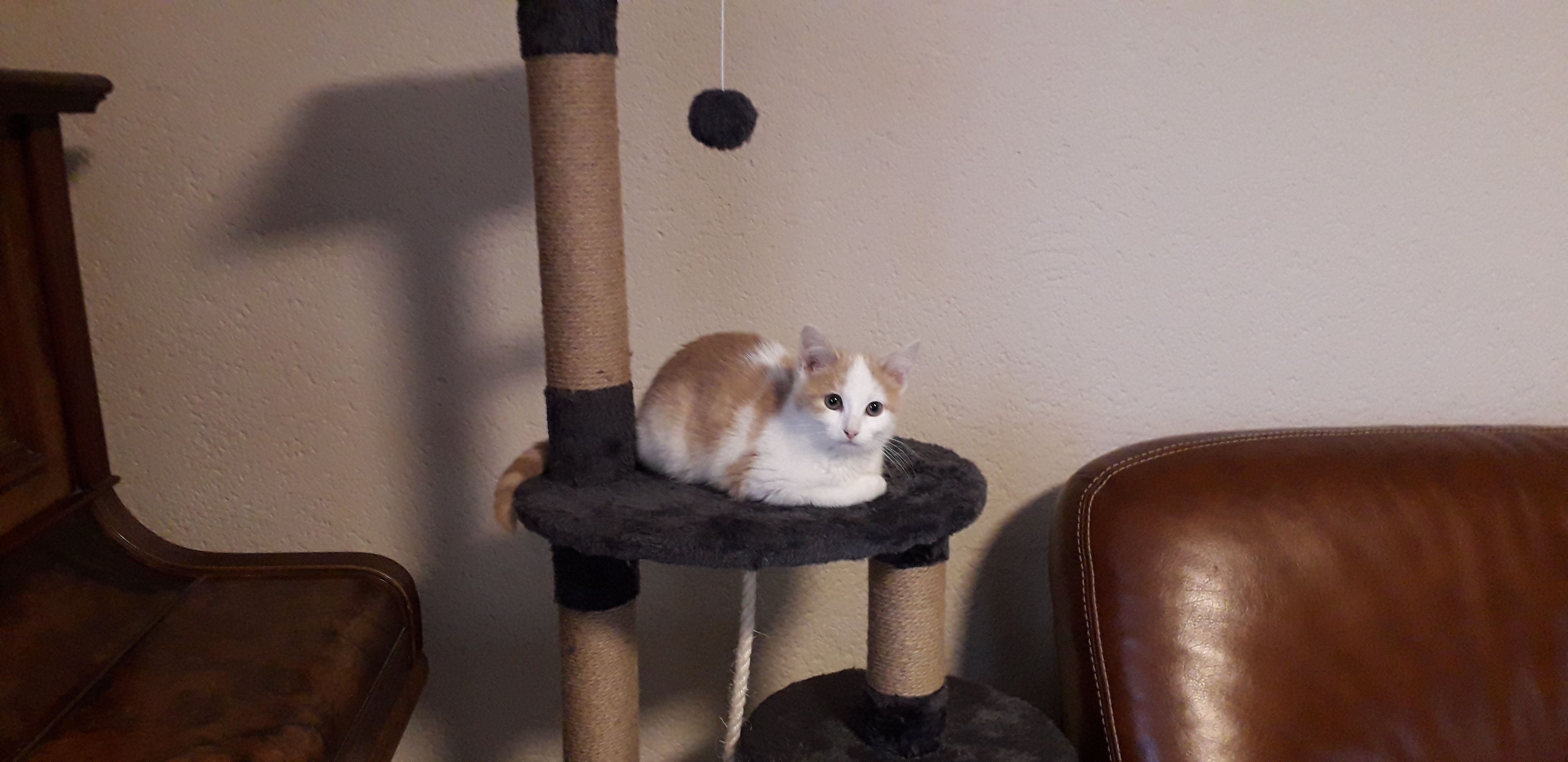 yech'mat - 23 Rue du Stade, Vay