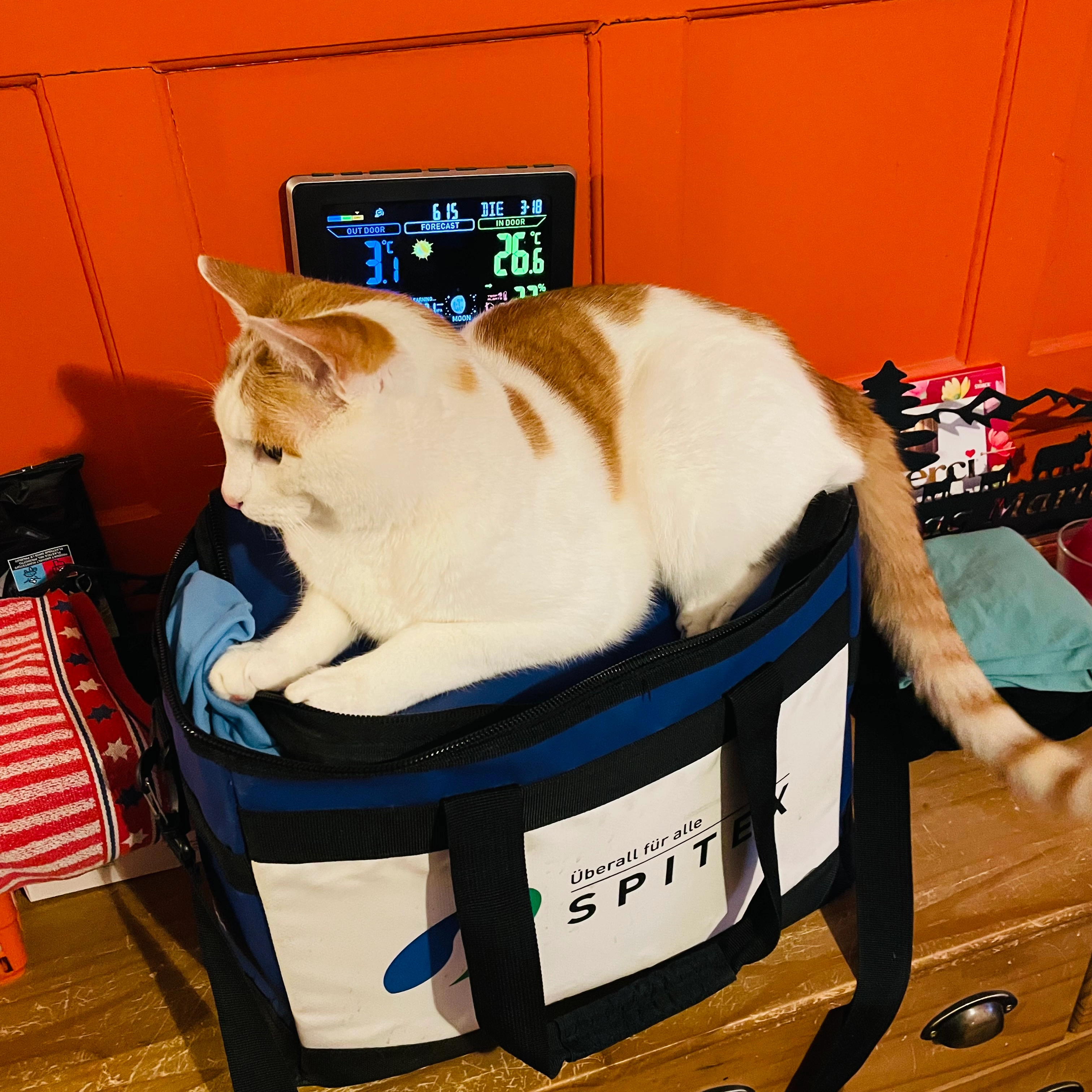 Findus  - Kreuzstrasse 12, Wangen