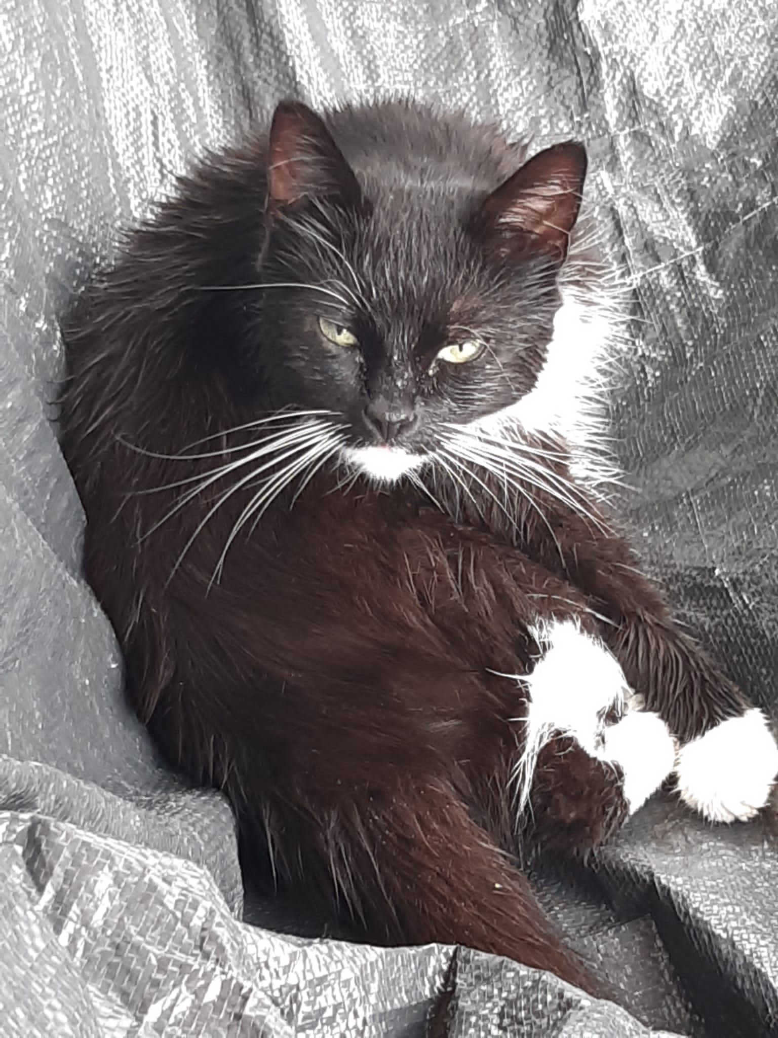 Nox - Johann-Schöpf-Straße 27, Silz