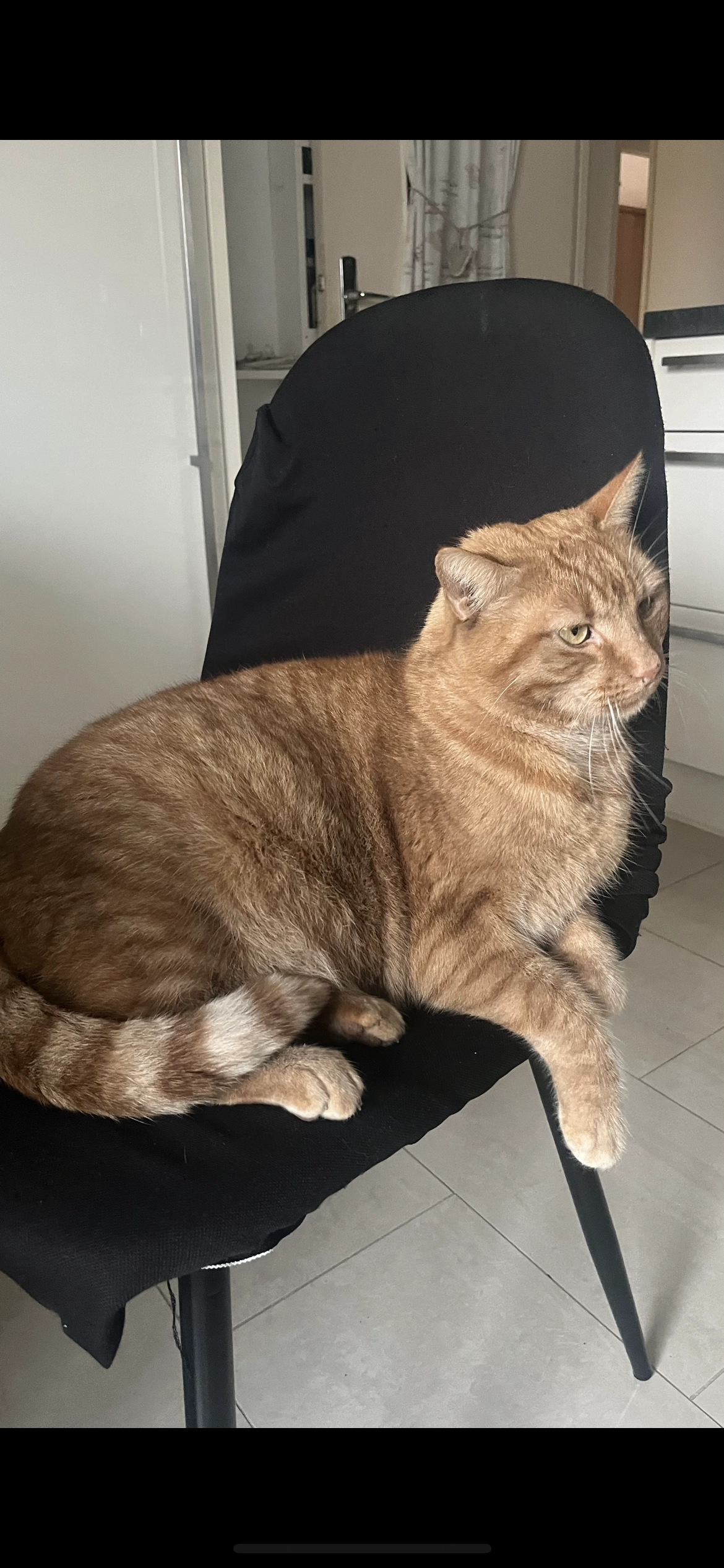 Leo - Strada 40 Triscina, Castelvetrano