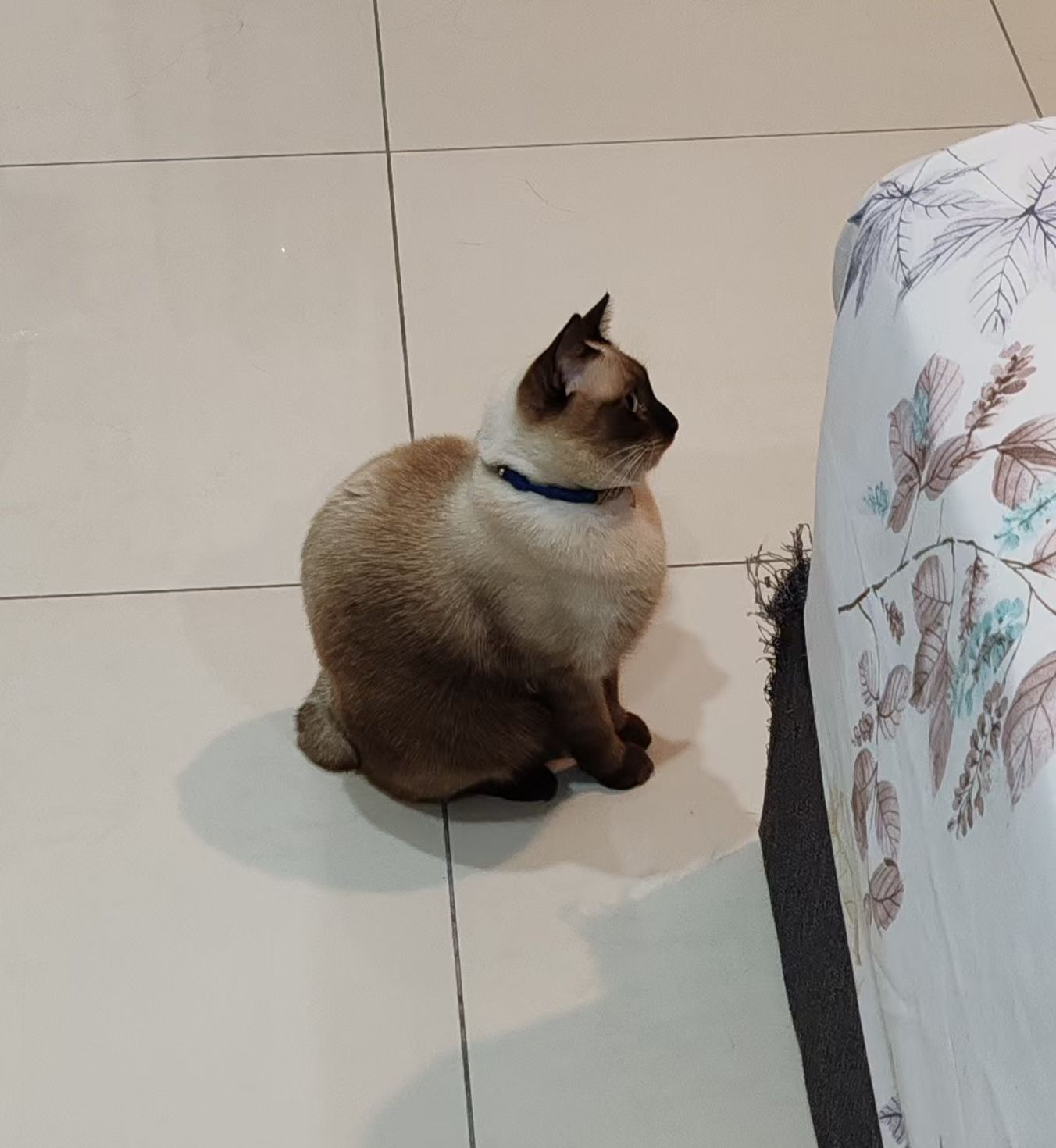 Heyby - 14000, Bukit Mertajam