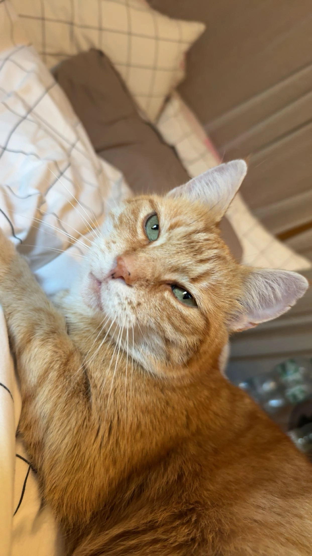 Loki  - Auf dem Felde, Ummern