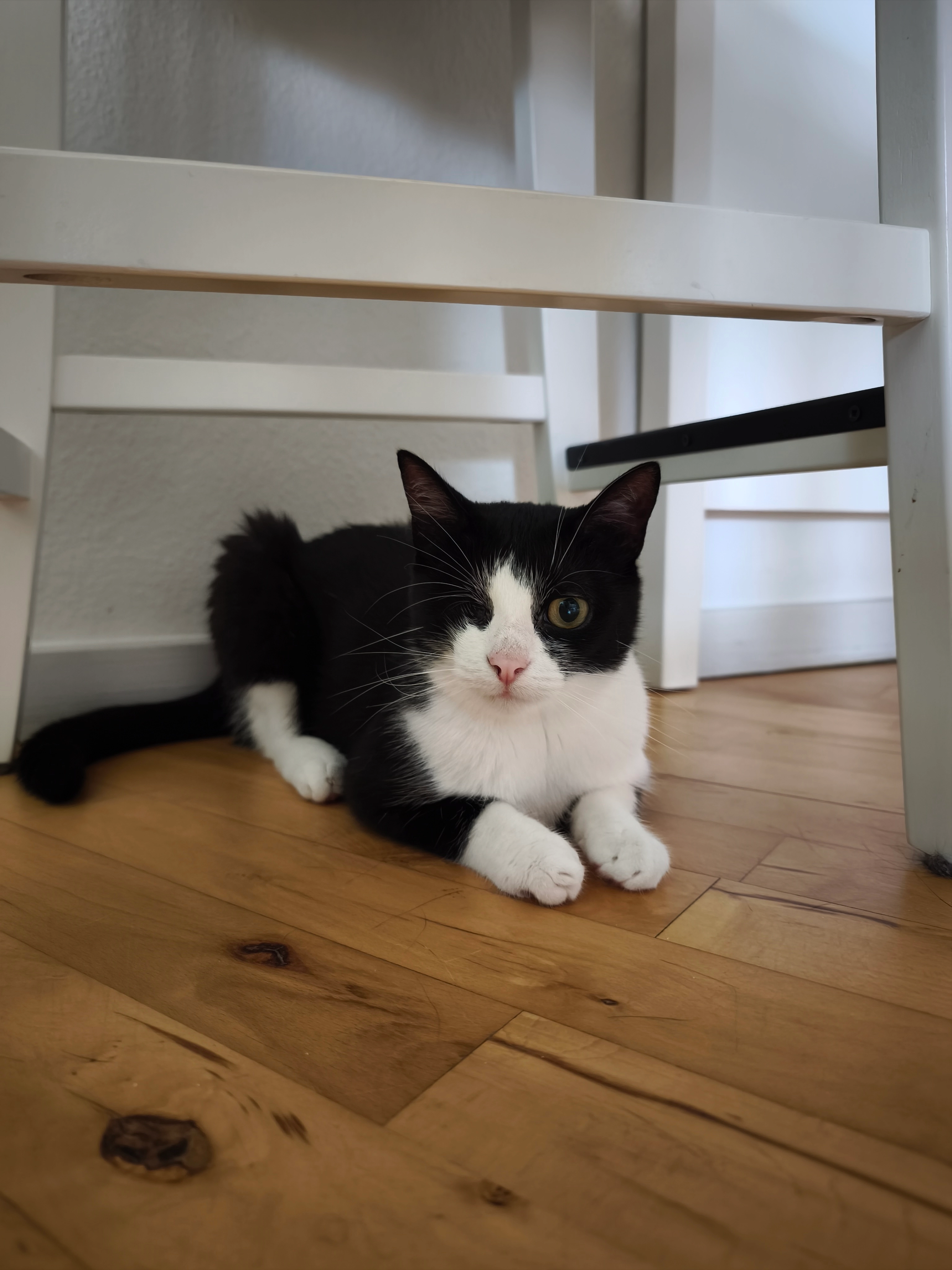 Rella - Hjallesegade, Odense