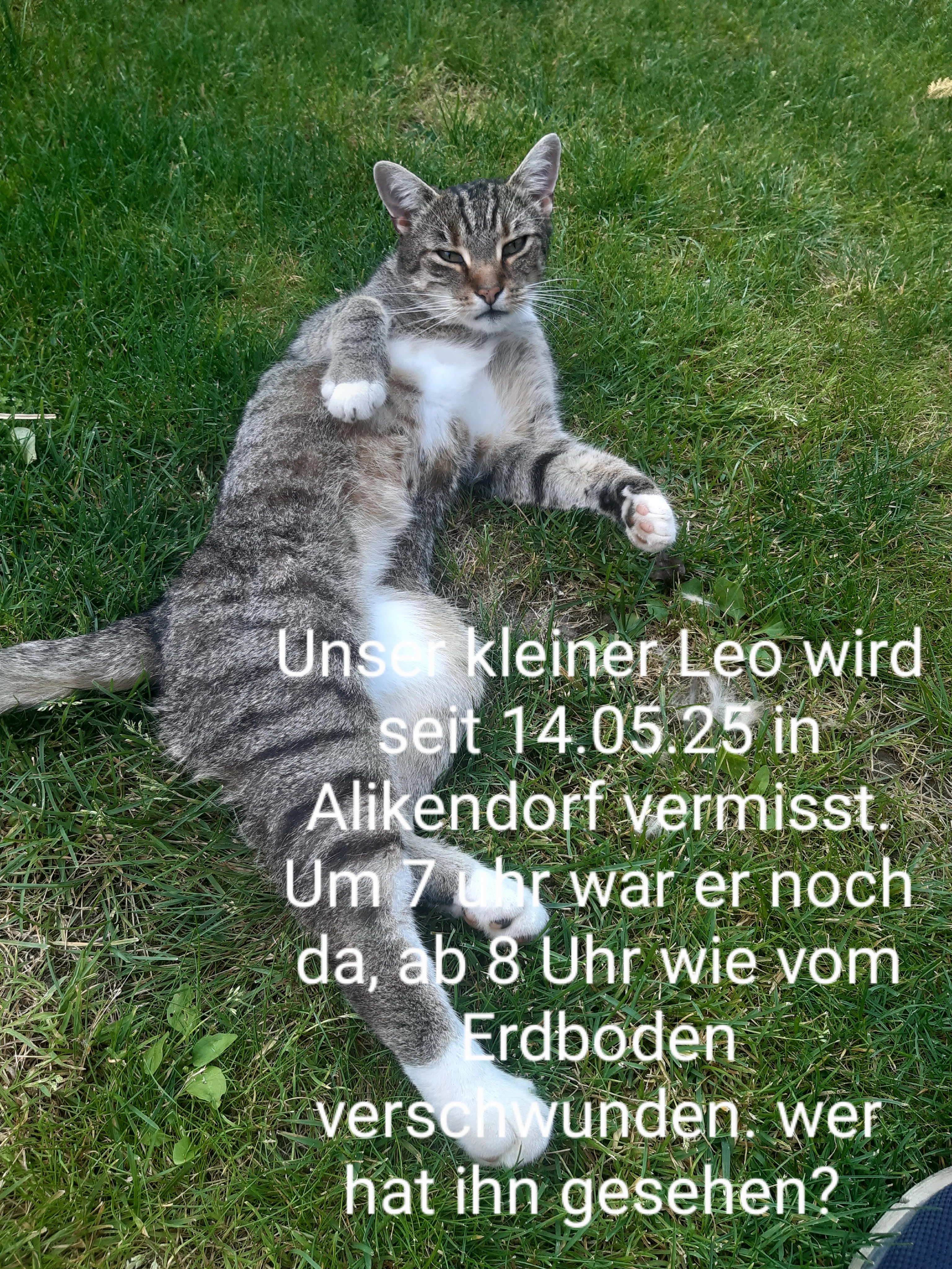 Leo - Am Kirchof, Oschersleben