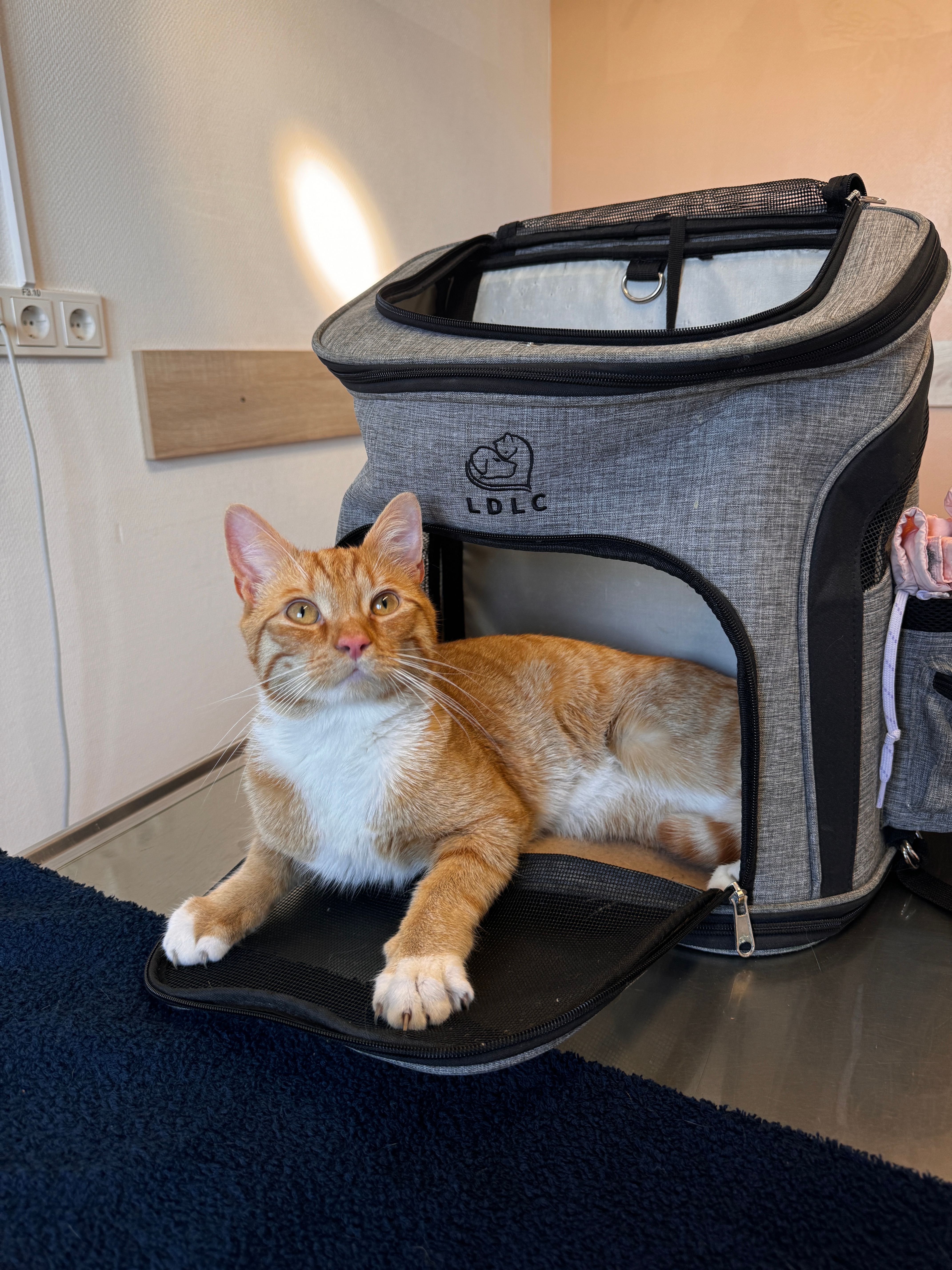 Elmo - Am Schwimmbad, Einbeck