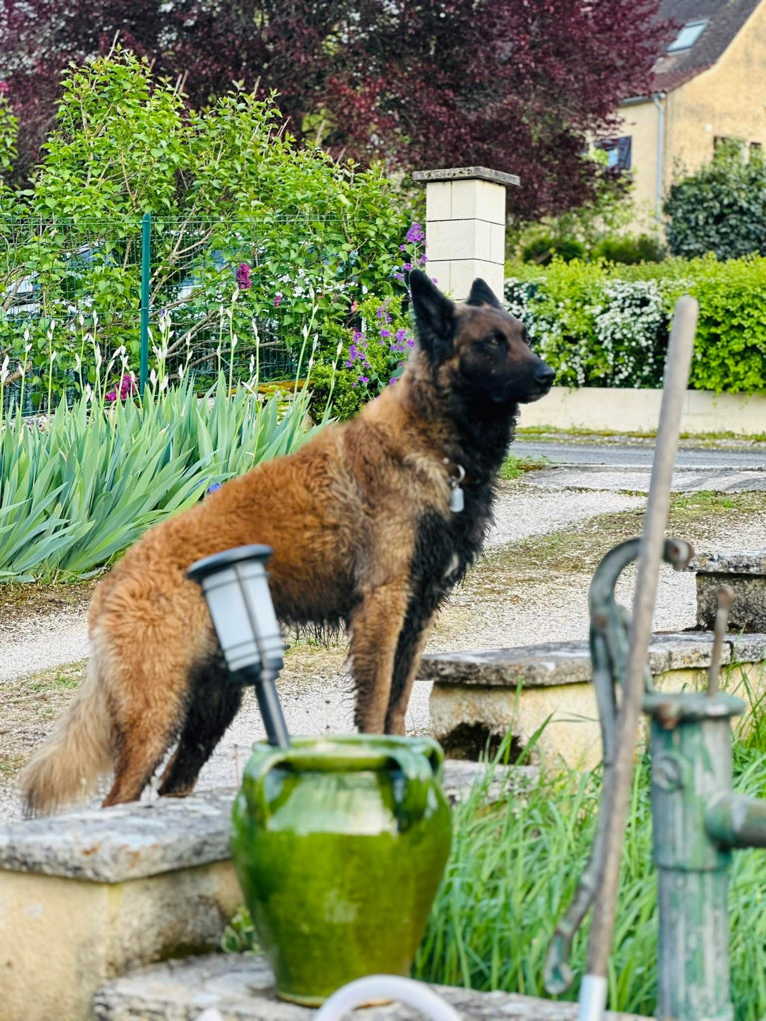 Zeiko - 46 Rue Bel Air, Saint-Germain-du-Bel-Air