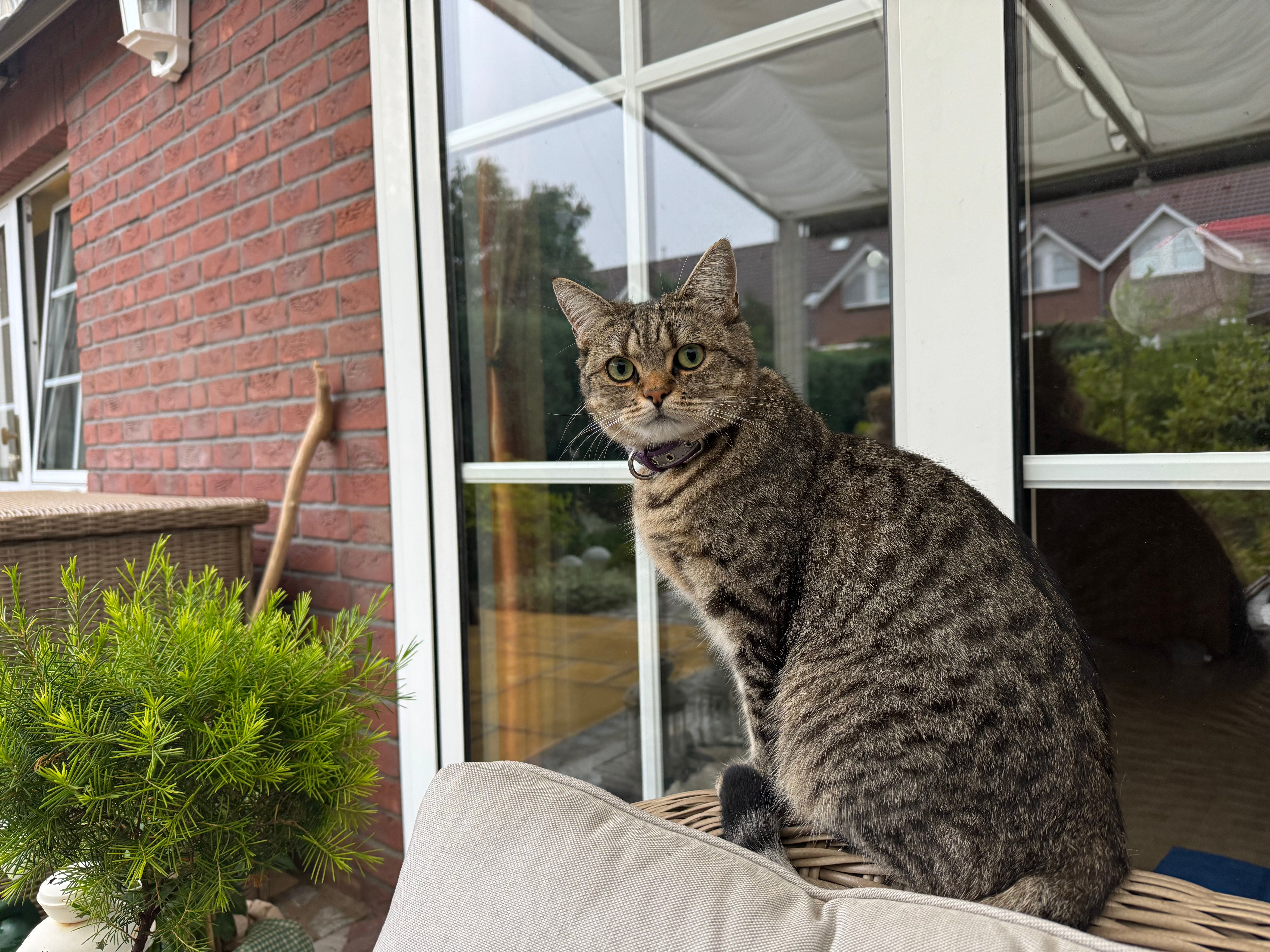 Mila - Am Müritzstadion, Waren