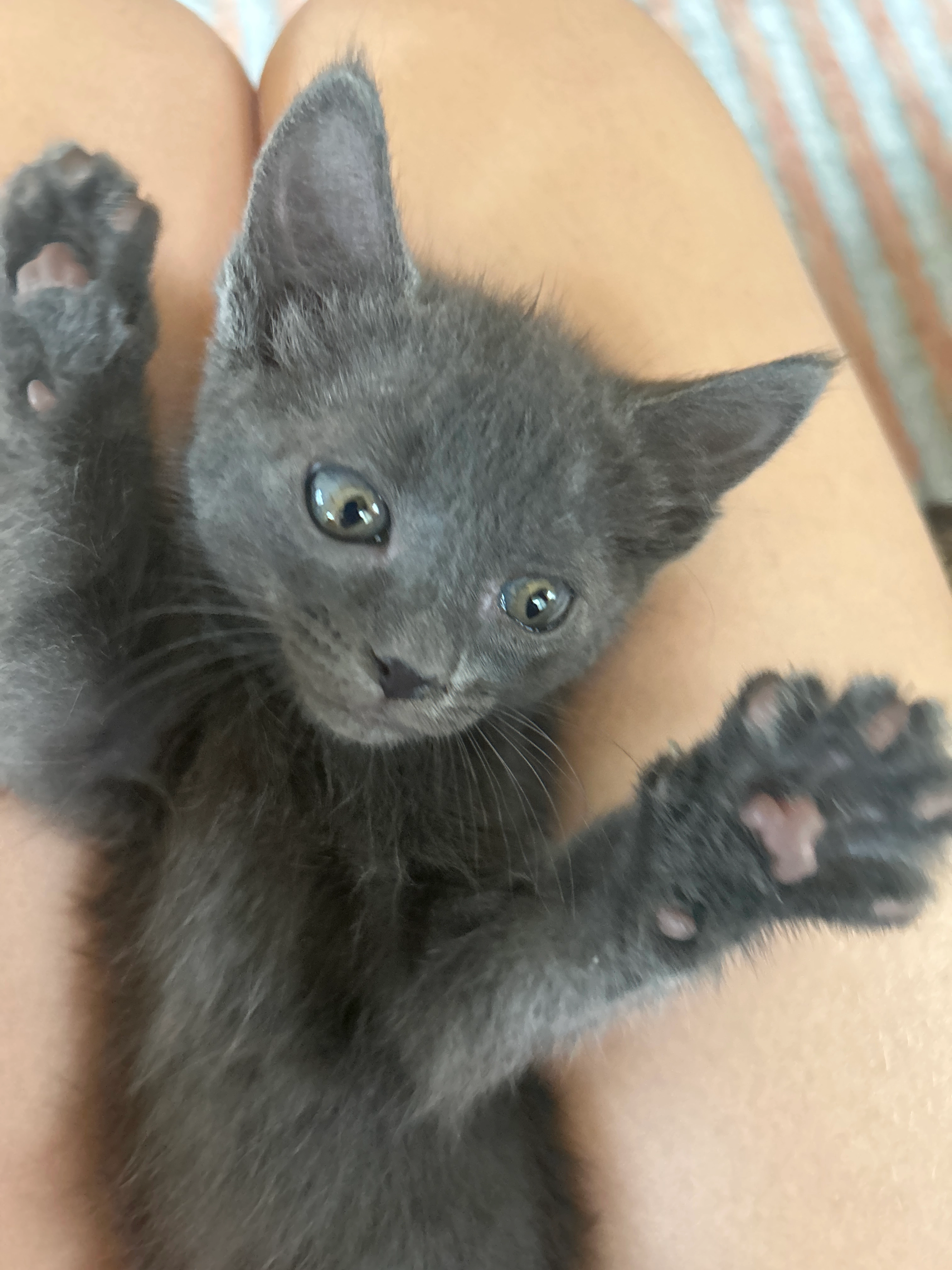 Luna - Drumul Crețeștilor, Bucharest