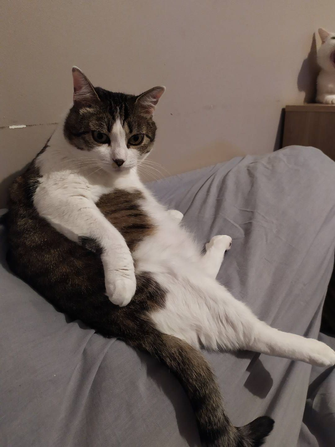 Mina - 16 Rue Louis Pleutin, Toulon-sur-Arroux