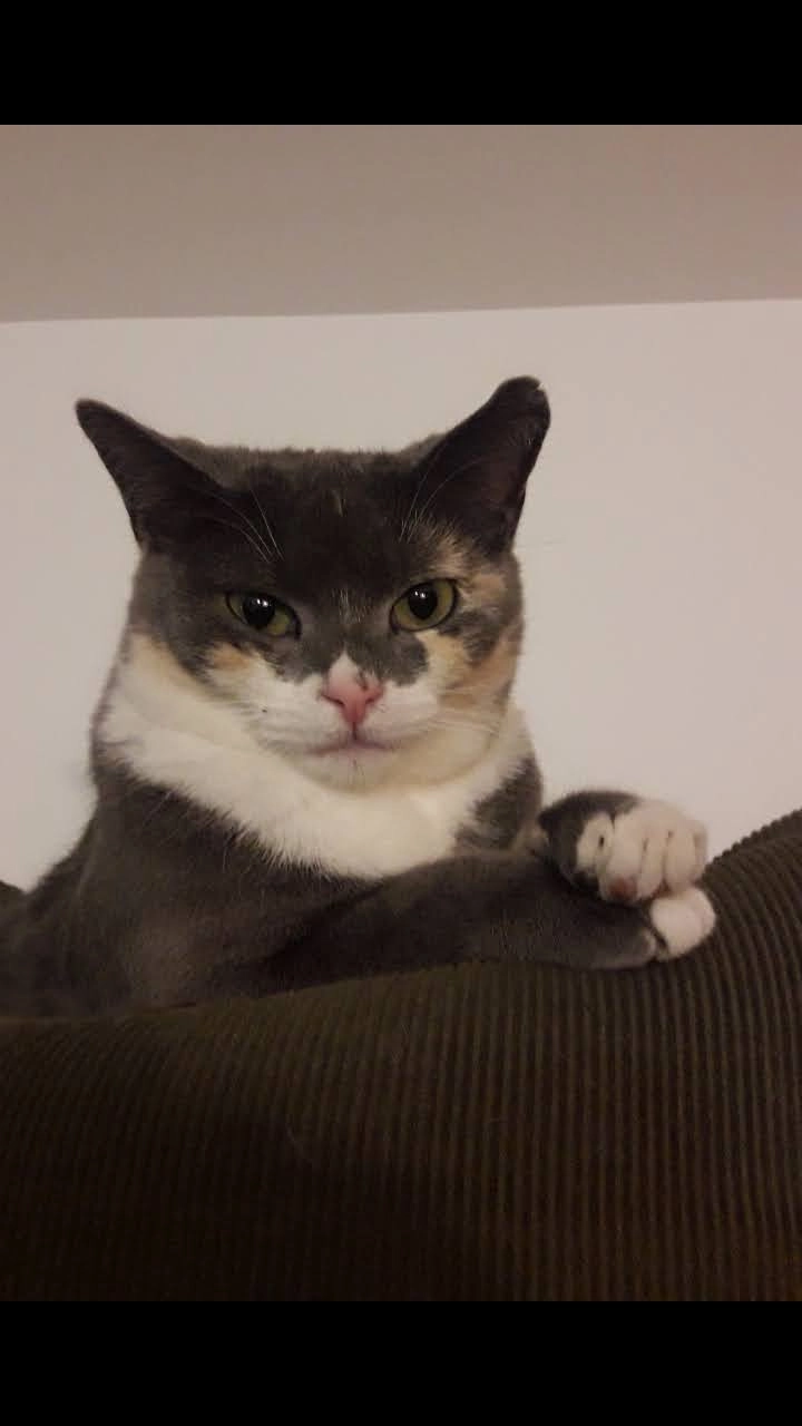 ROSY - 73 Impasse Colette, Laudun-l'Ardoise