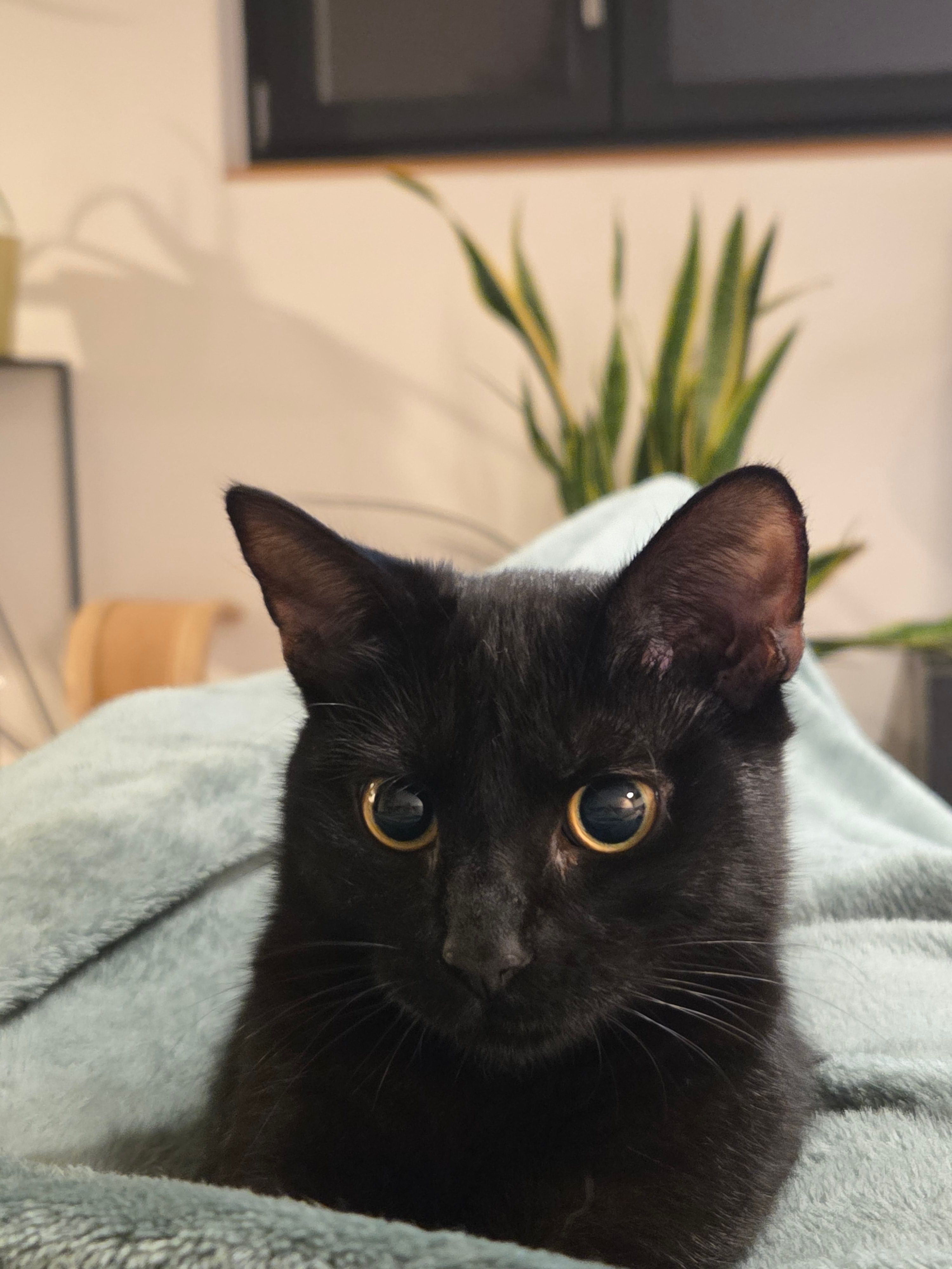 Chimba - Route De Mauvoisin, Le Châble