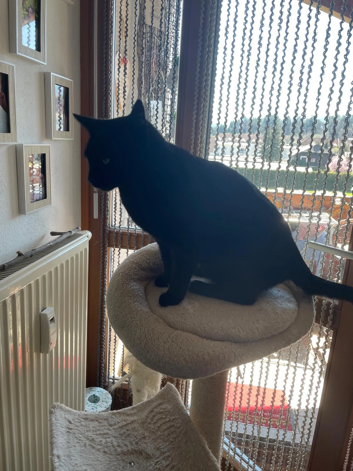 Mutzi - Stauseestraße 3, Villach