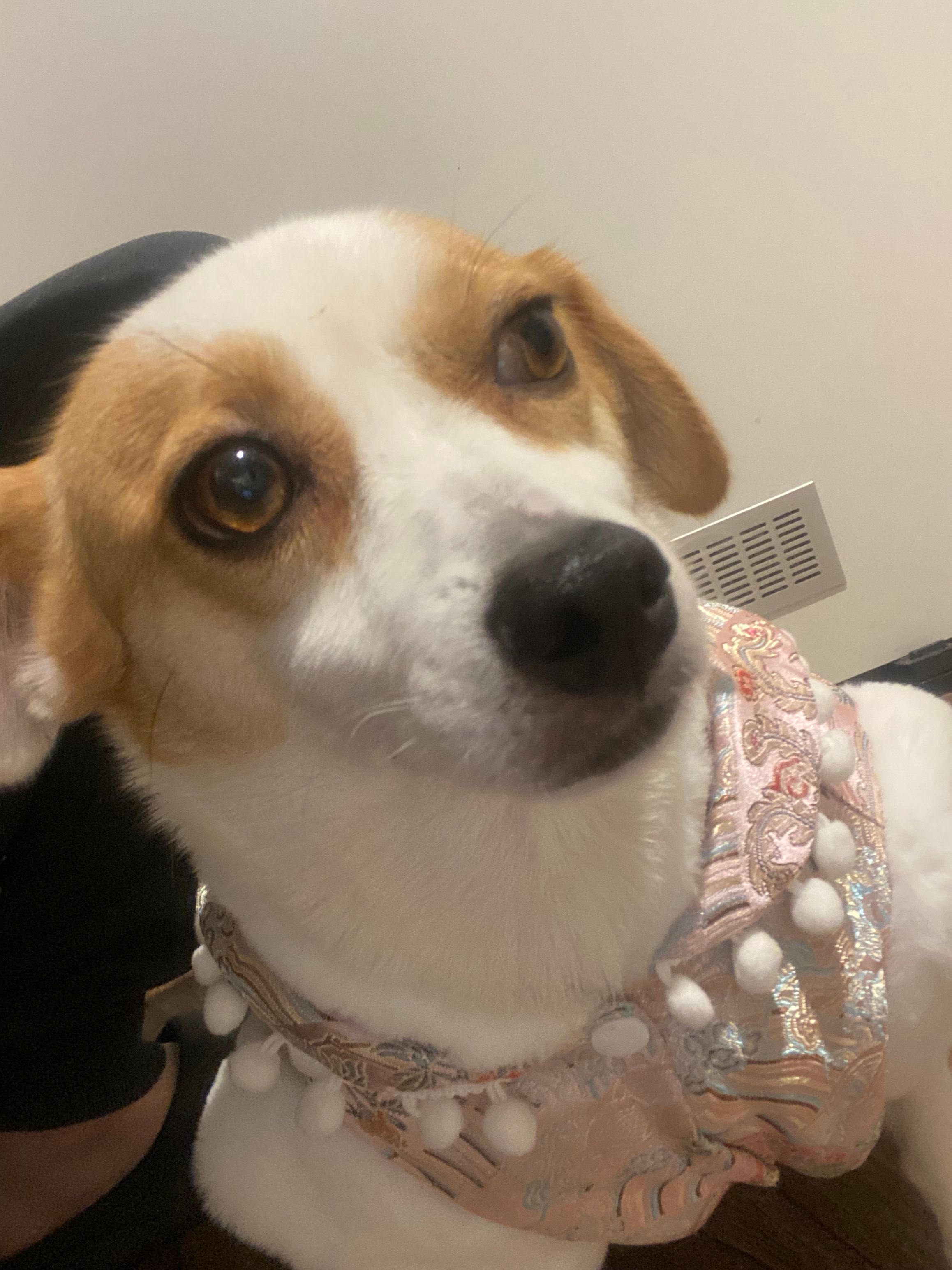 dudu - Thalkirchner Straße, München