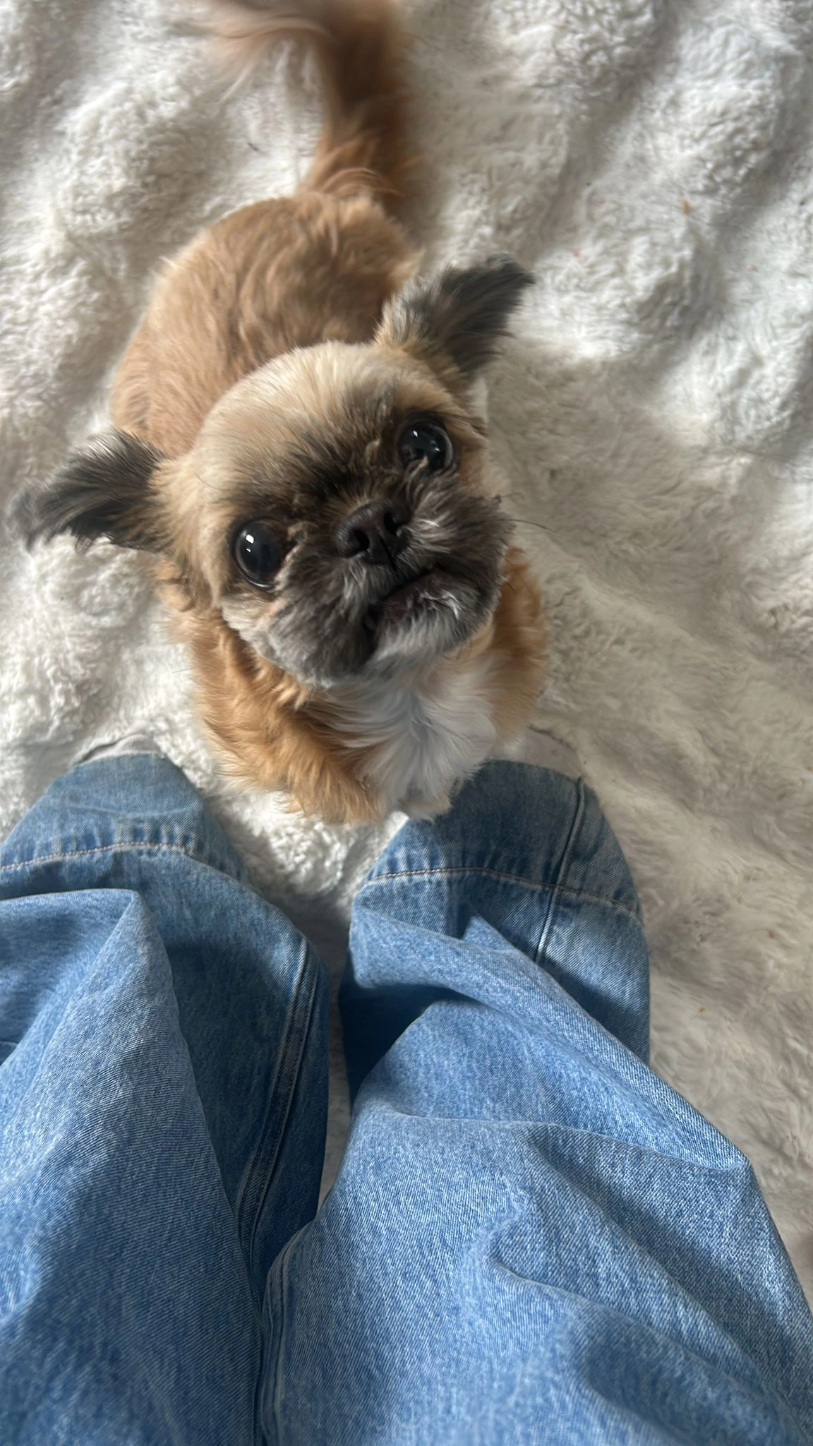 Mimi - Schumannstraße, Offenbach am Main