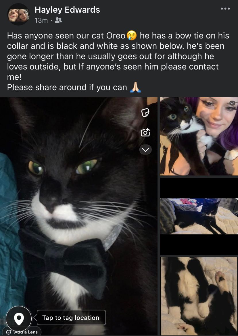 Oreo - Clyffes, Cwmbran