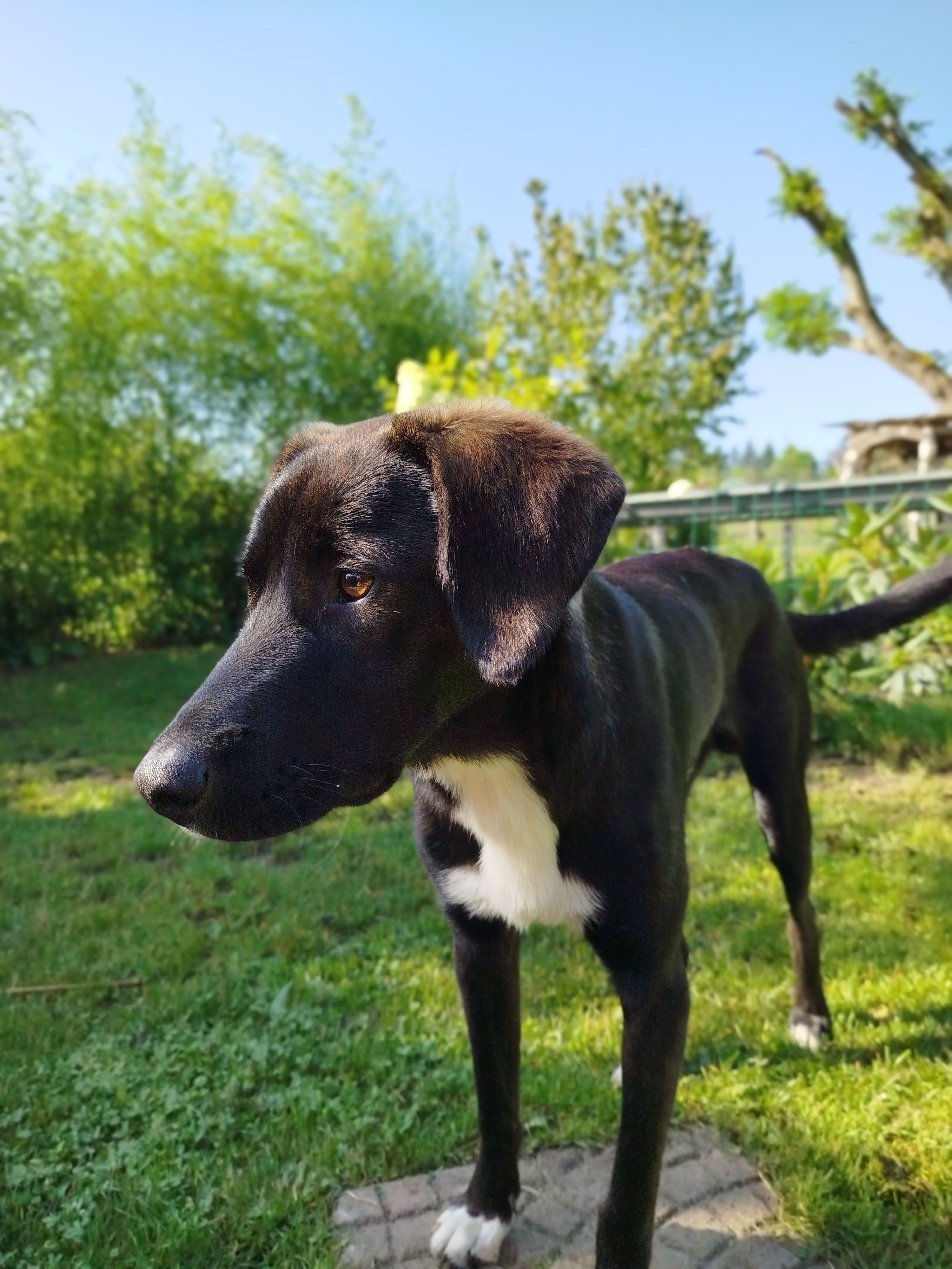 Mate - Wildenrather Straße, Wegberg