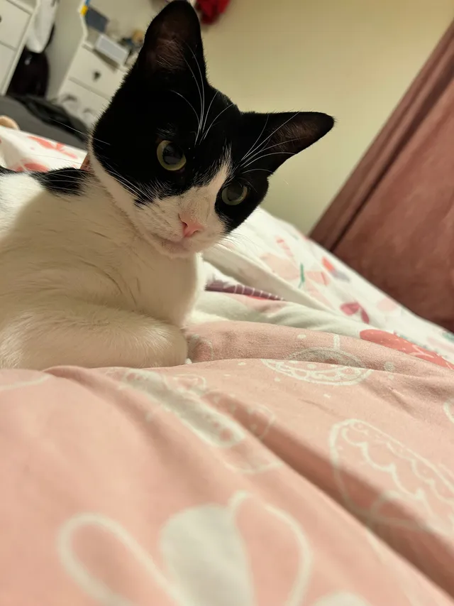 Baby - Field Street, Wigan