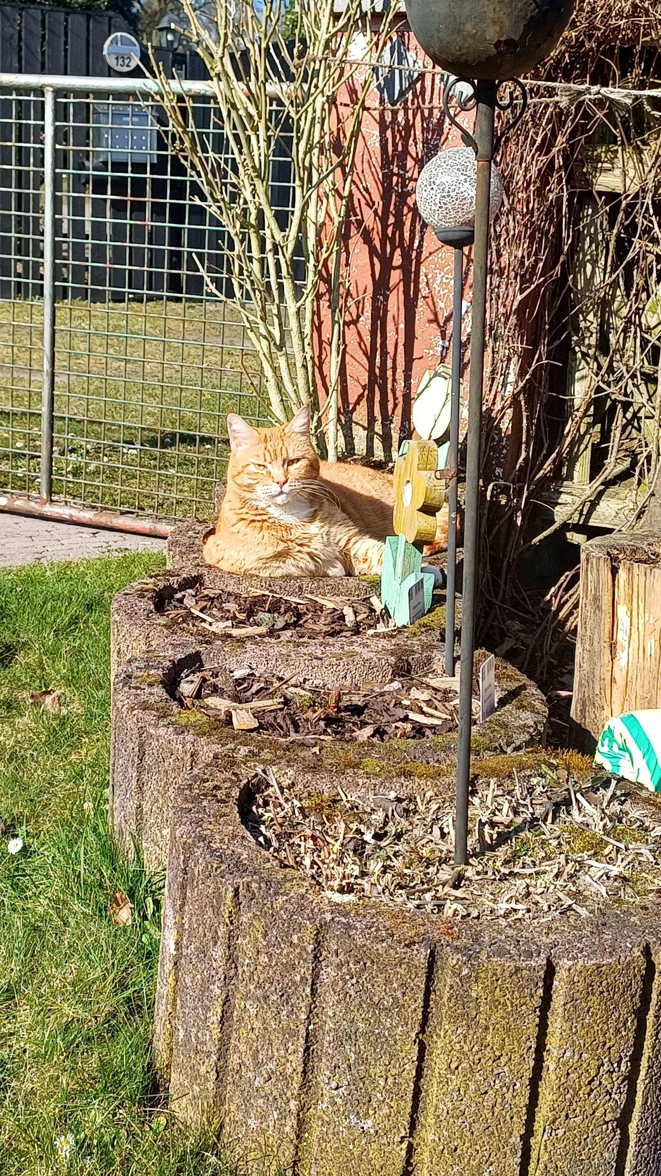 Hopkins - Emkum, Lüdinghausen