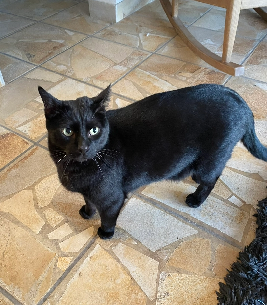 Hermès  - Rue du Purgatoire 68, Mouscron