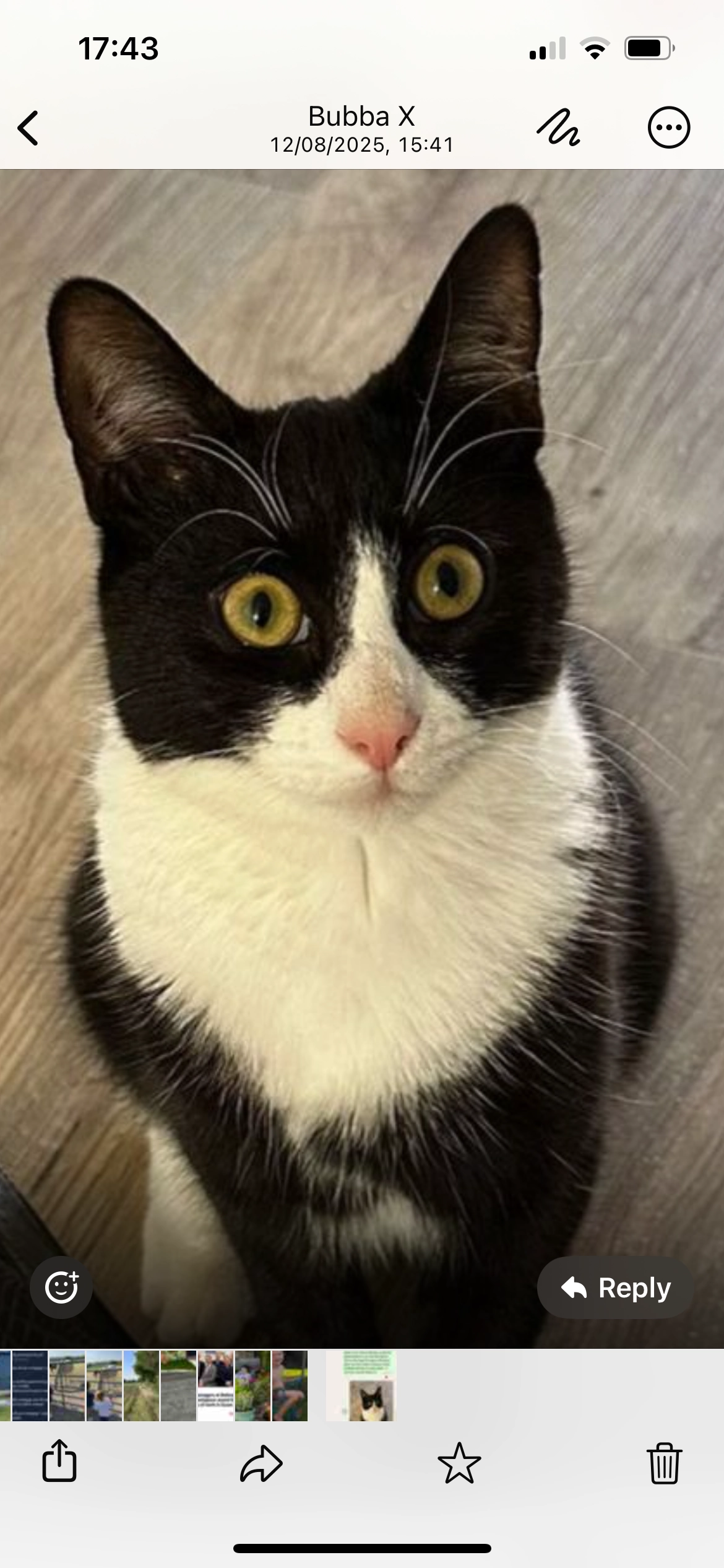 Thor - SS17 9JU, Stanford-le-Hope