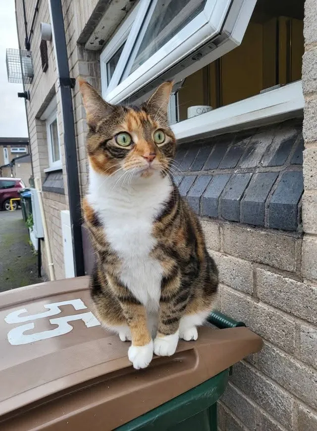 Zoey - Barnaby Road, Rugby