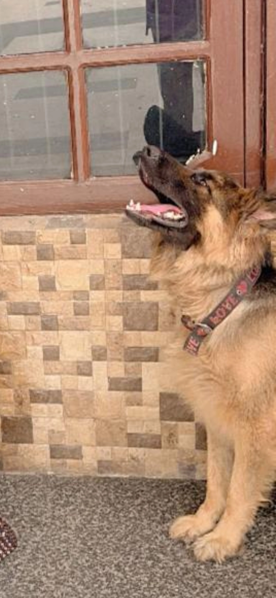 Bujo - Karan Bagh, Jammu