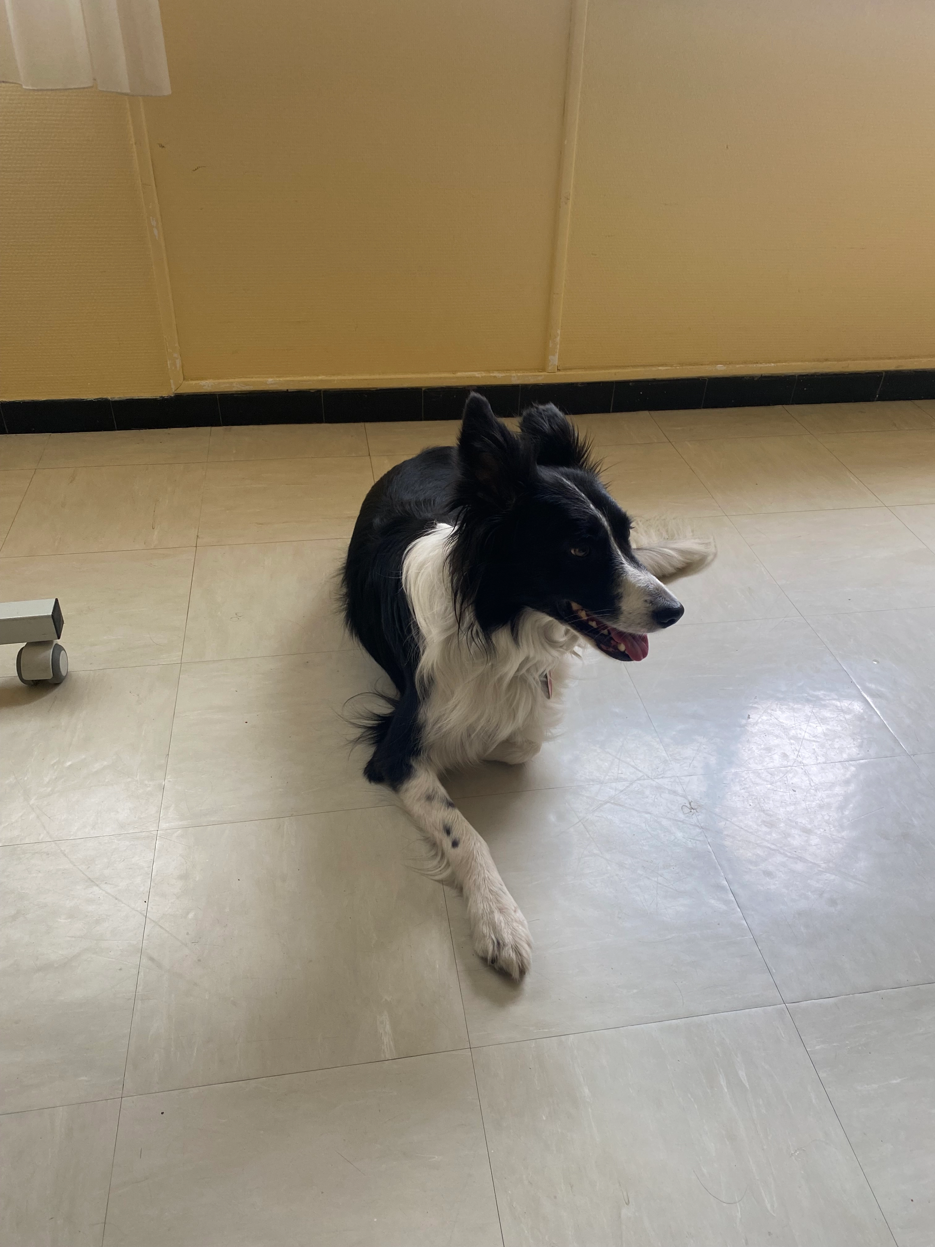 Oreo - Chemin De La Tour, Nîmes