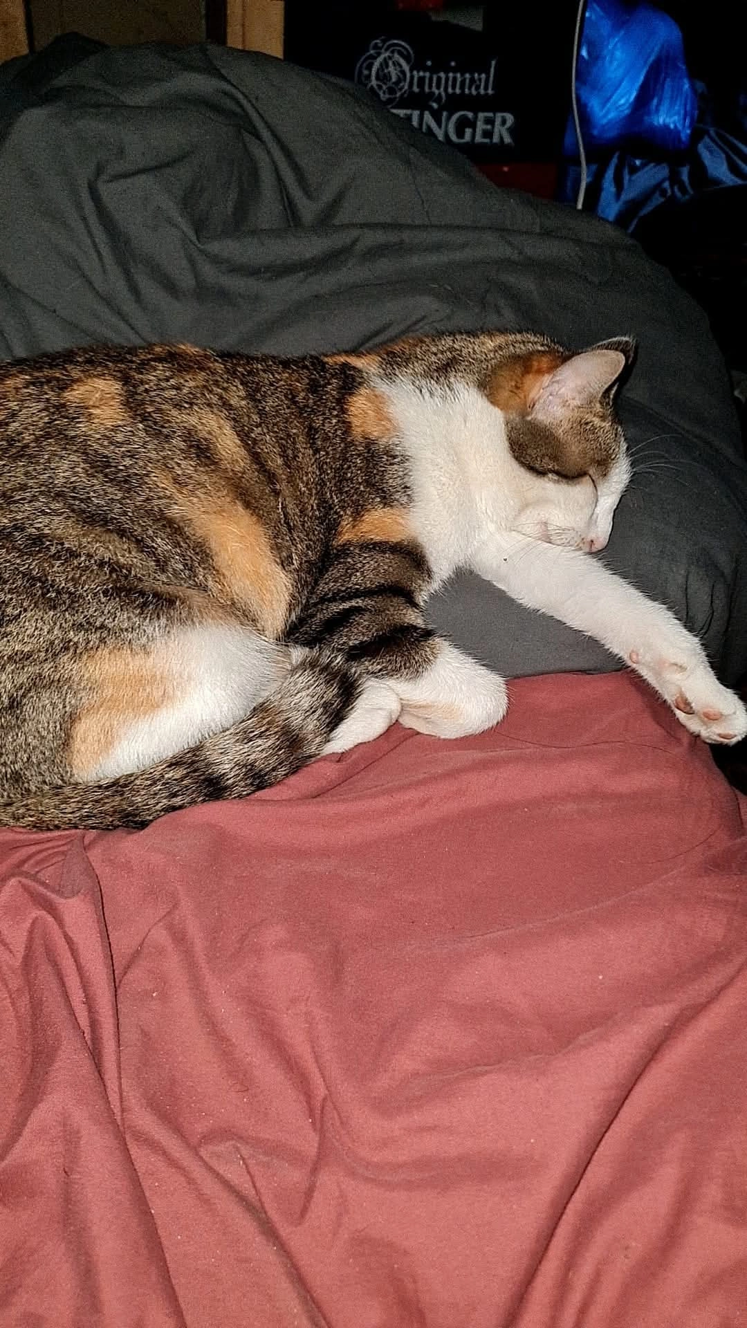 Mizi - Poststraße, Dentlein am Forst