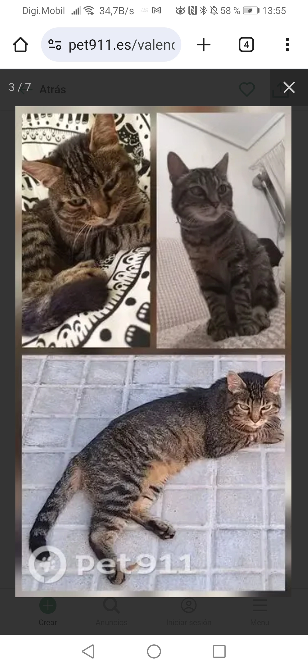 Carlos - Calle de Gregorio Gea, Valencia