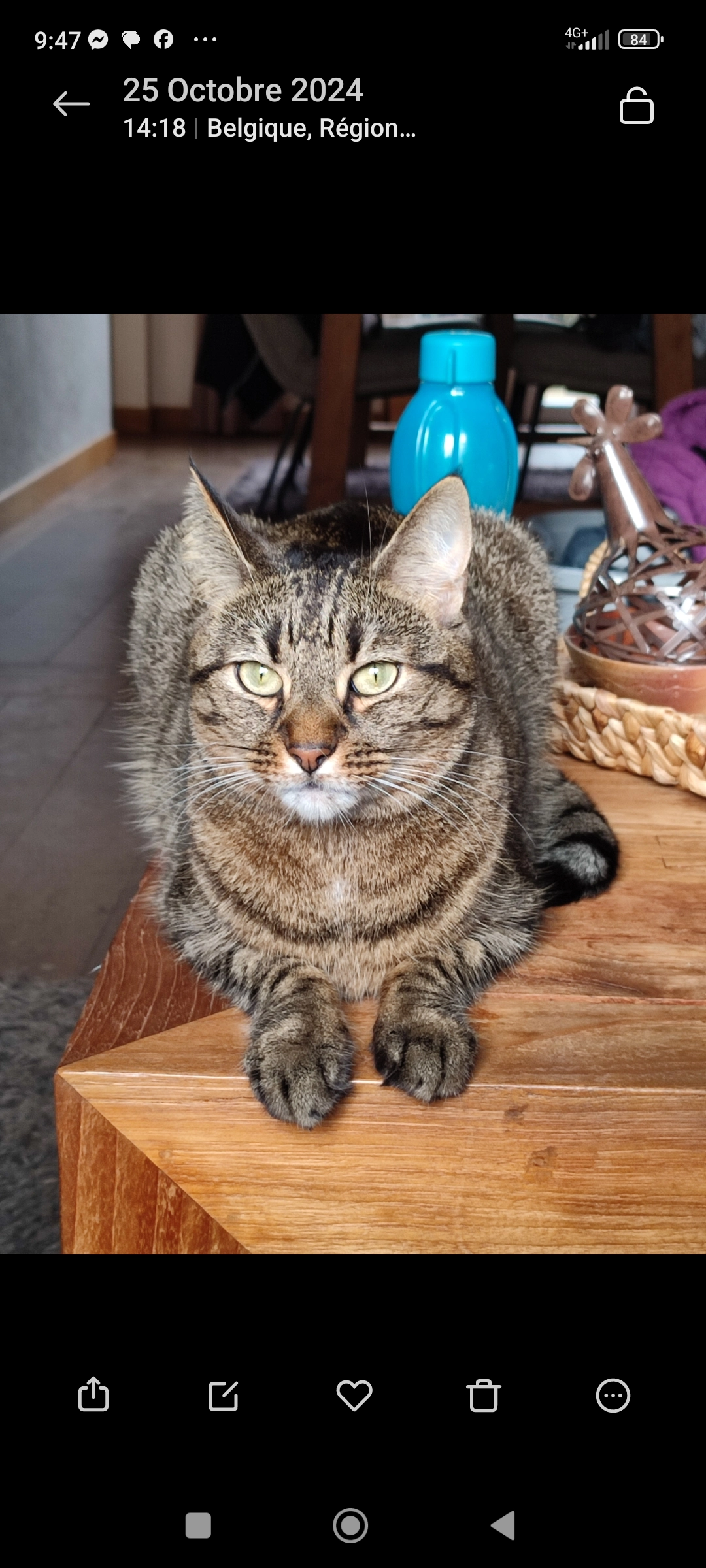 Mario - Avenue des Lanciers, Spa