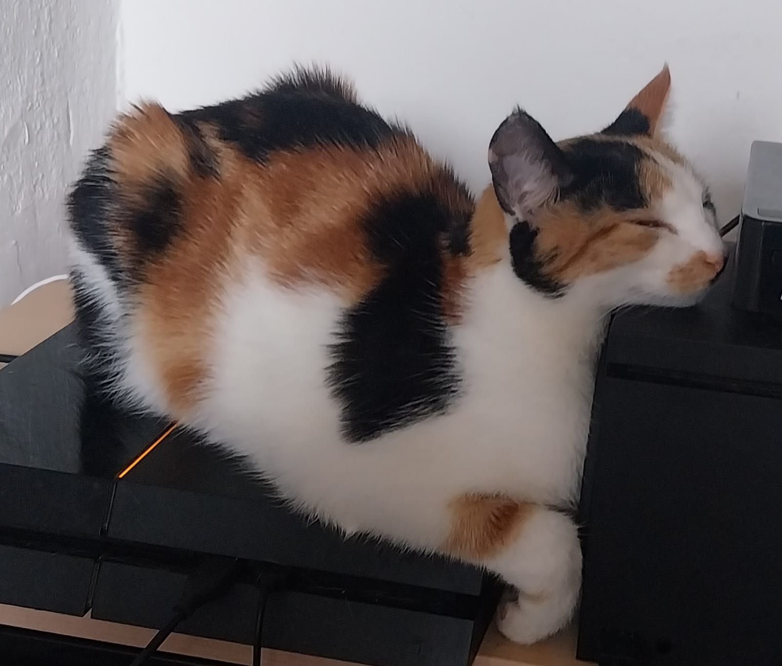 newa - Karwendelstraße, Schwaz