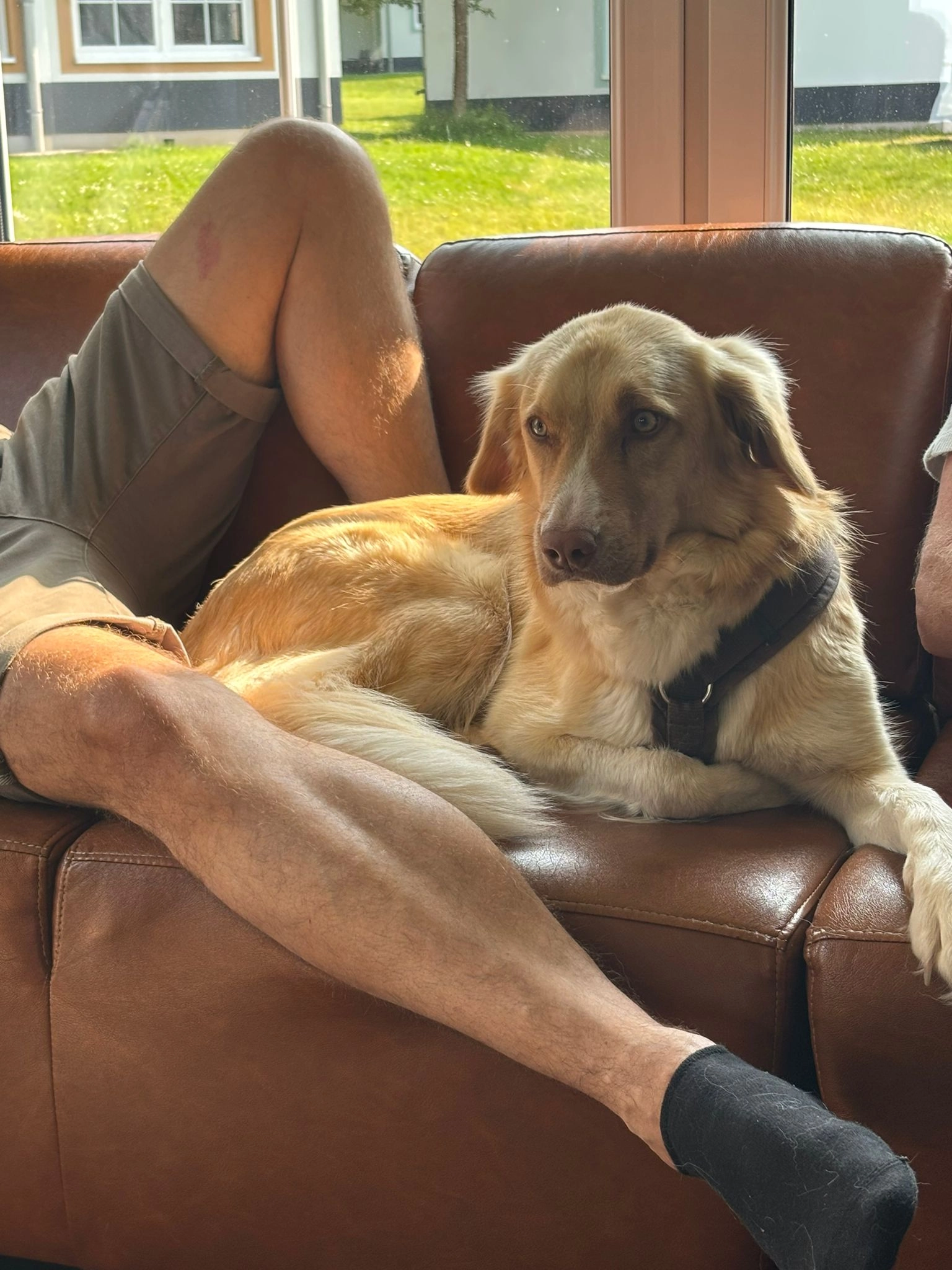 Mathilda j - Zum Südert, Amel