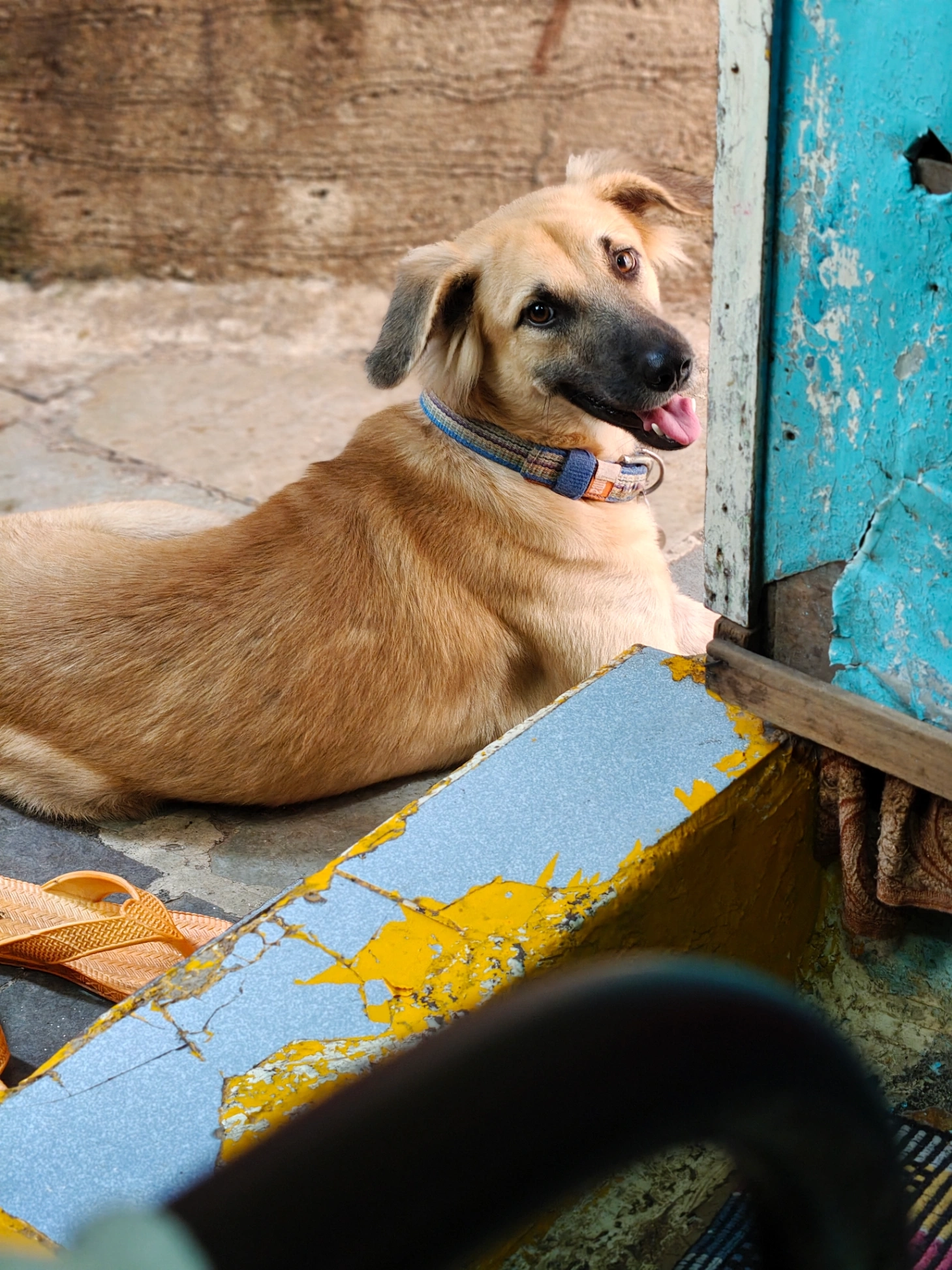 Gopi - Dr Babasaheb Ambedkar Road, Byculla