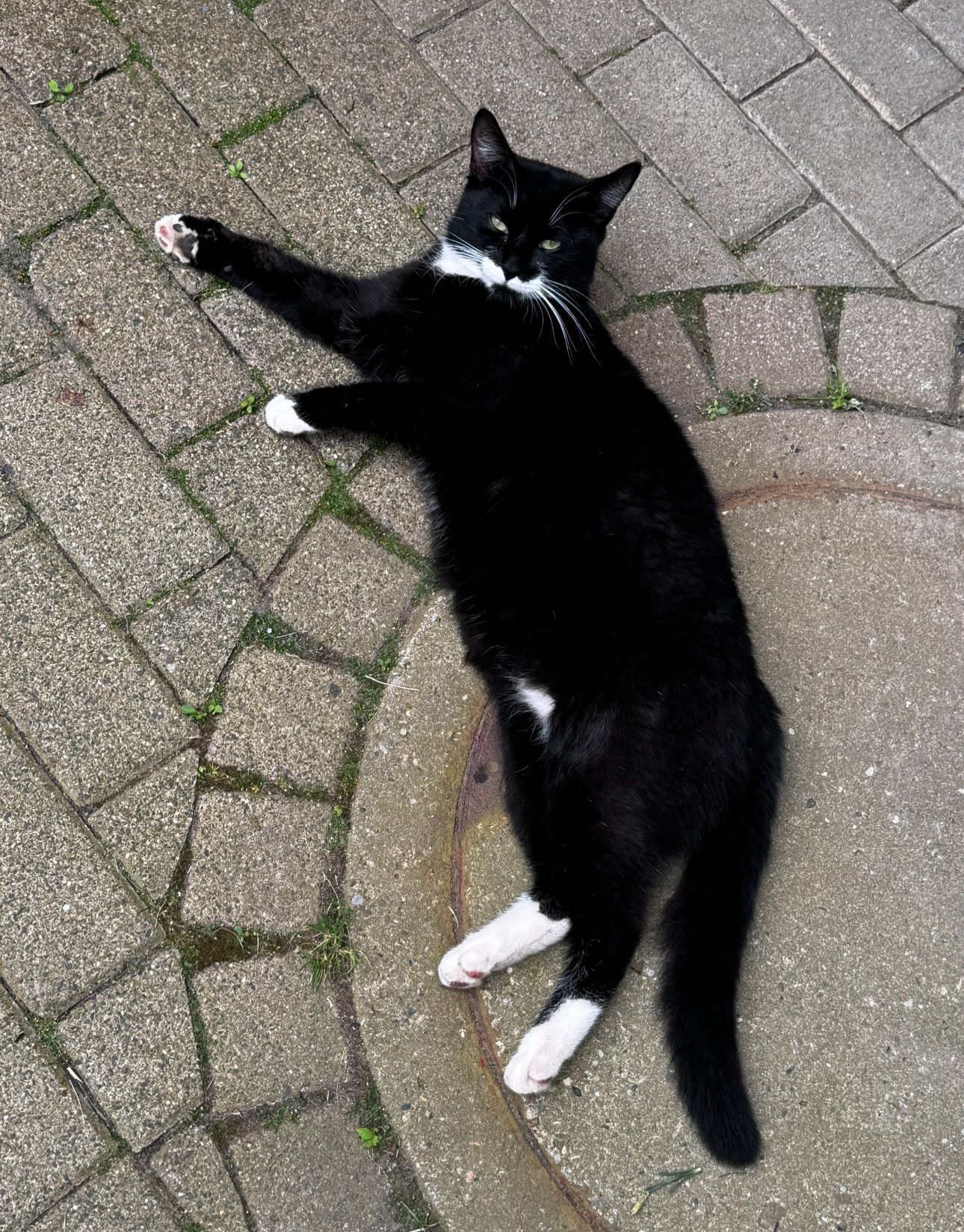 Murphy - Hauptstraße, Friedrichroda