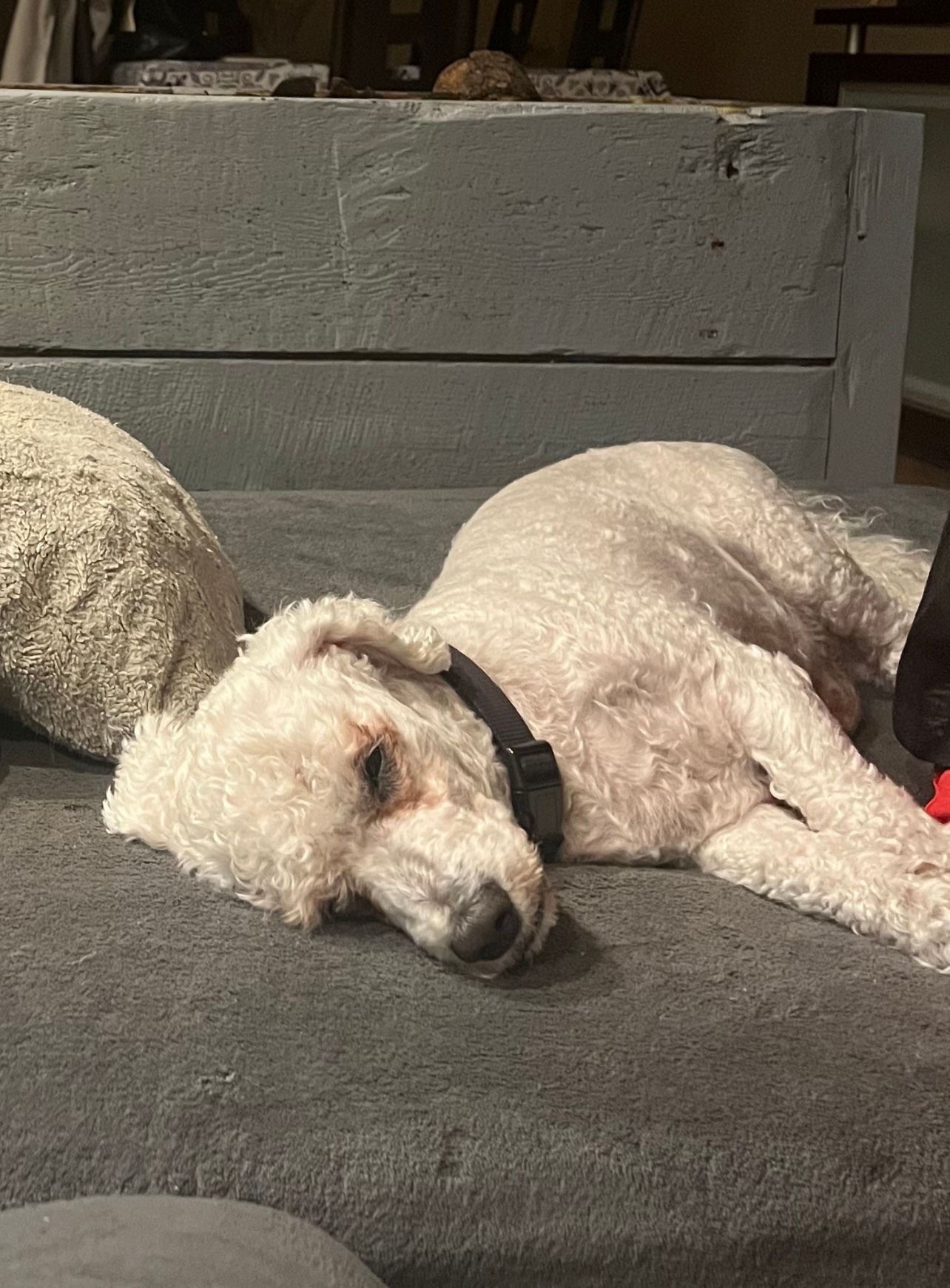 Fincky  - 41 Avenue de la Libération, Enval